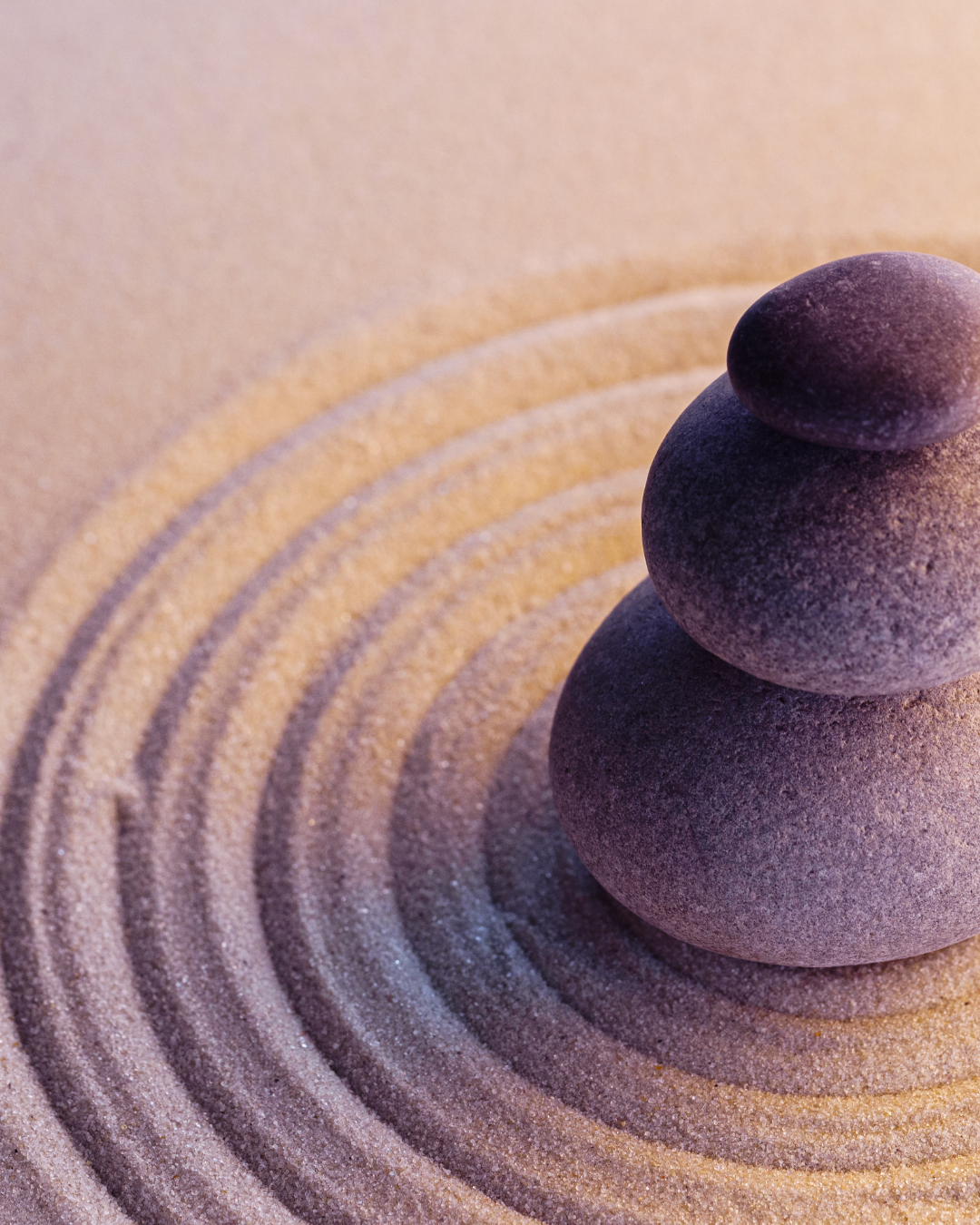 Reclaiming the Nervous System as a Spiritual Instrument