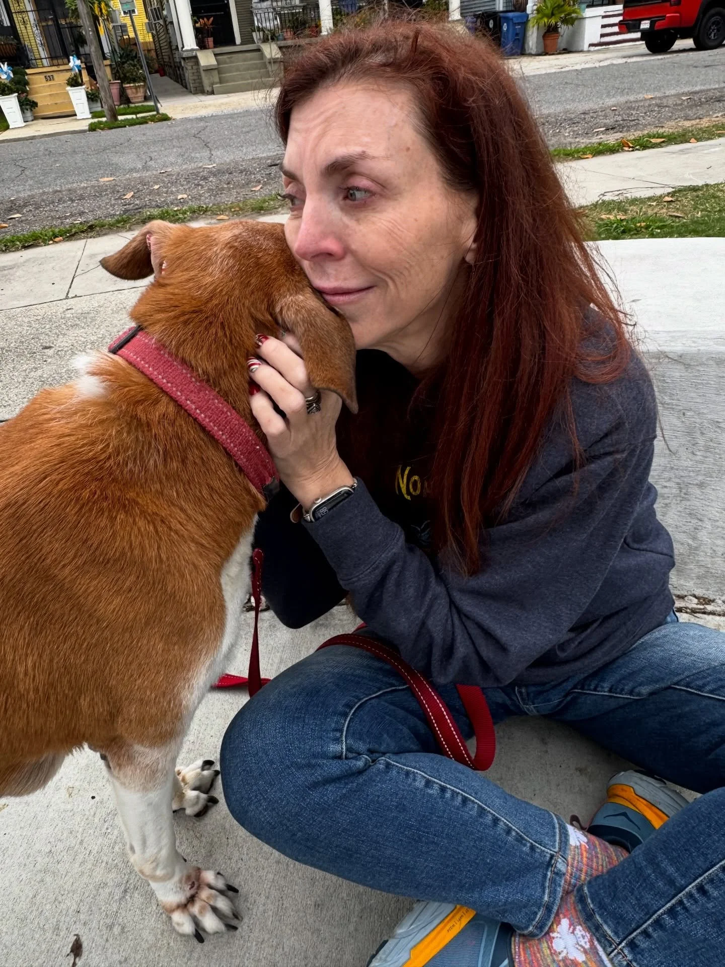 I don&rsquo;t know how to do this without Levi. He has been within inches of my feet for the past 13 years and I feel like I&rsquo;ve lost a part of myself. 💔. Everyone&rsquo;s favorite gentleman and our family supervisor left this world yesterday- 