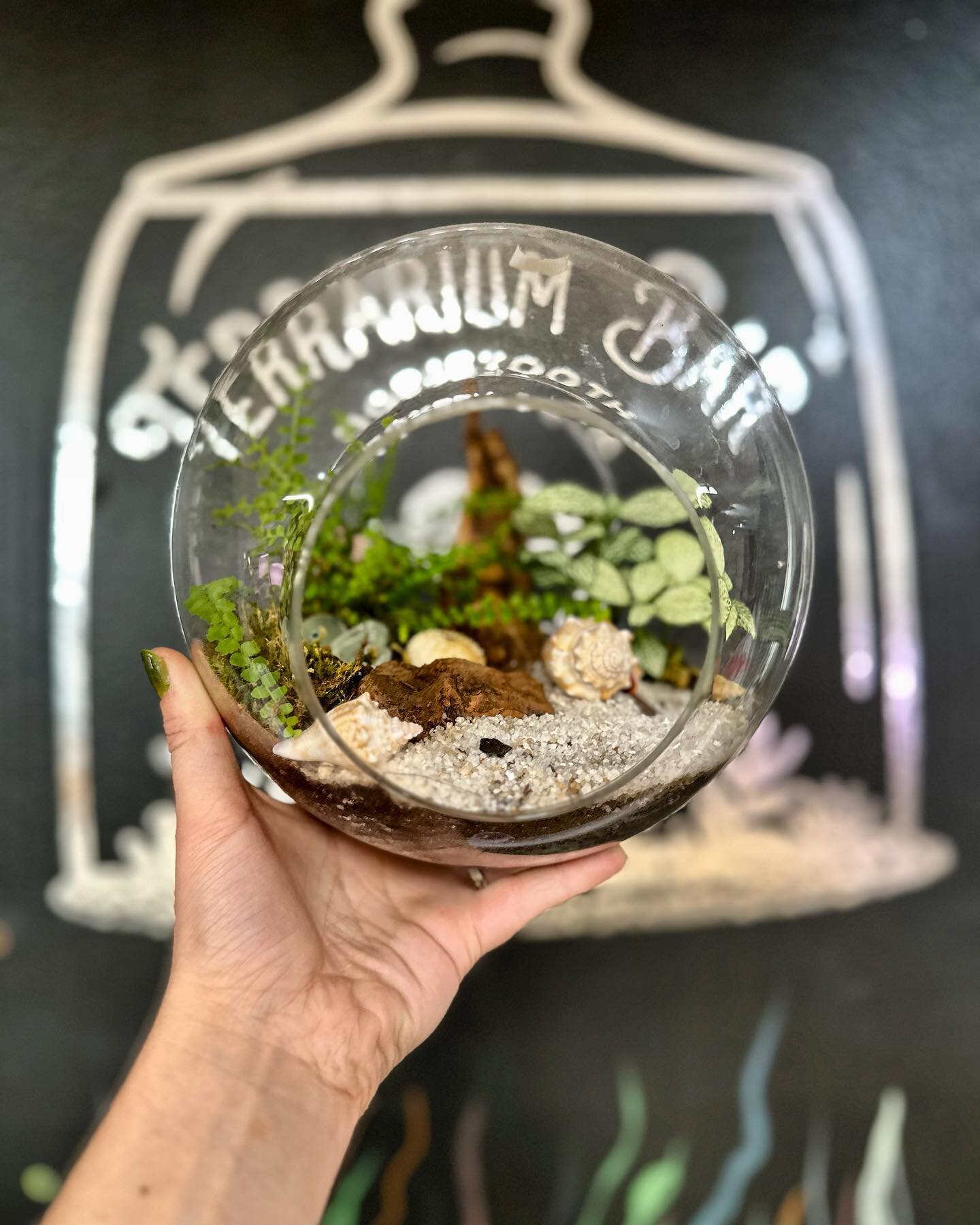 It&rsquo;s the weekendddd! Bring your friends and fam in and make your very own little mini moss oasis!🌱

We&rsquo;ve been busy busy stocking up the shop and making it EXTRA✨ good in here!!

Lots of new product hit the floor this week so swing by an