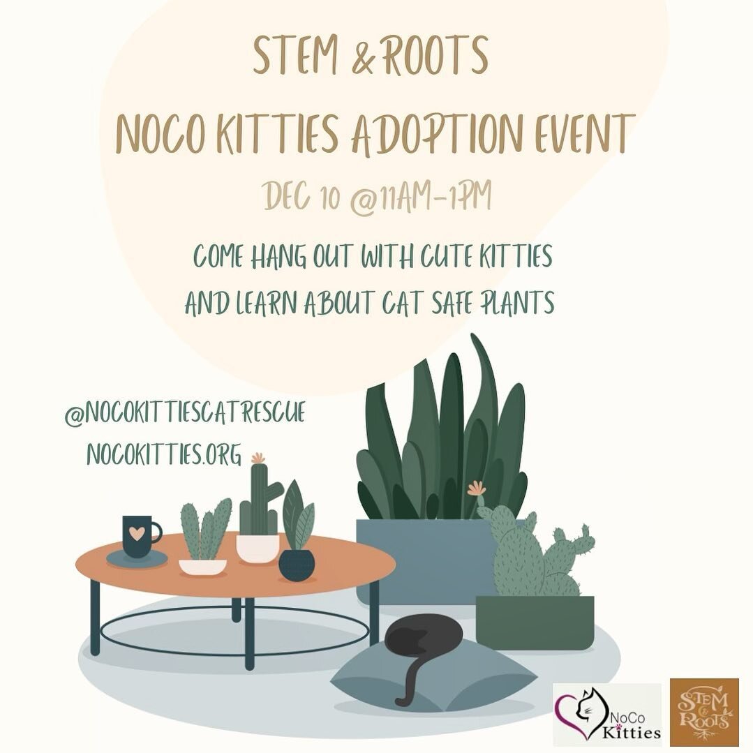 🐈🪴Cat rescue event🪴🐈

Joins us and @nocokittiescatrescue Sunday, December 10th from 11-1! It&rsquo;ll be hosted in our workshop space downstairs. Come find your new bestie! 

We&rsquo;ll have a bunch of kitty safe plants as examples and talk abou