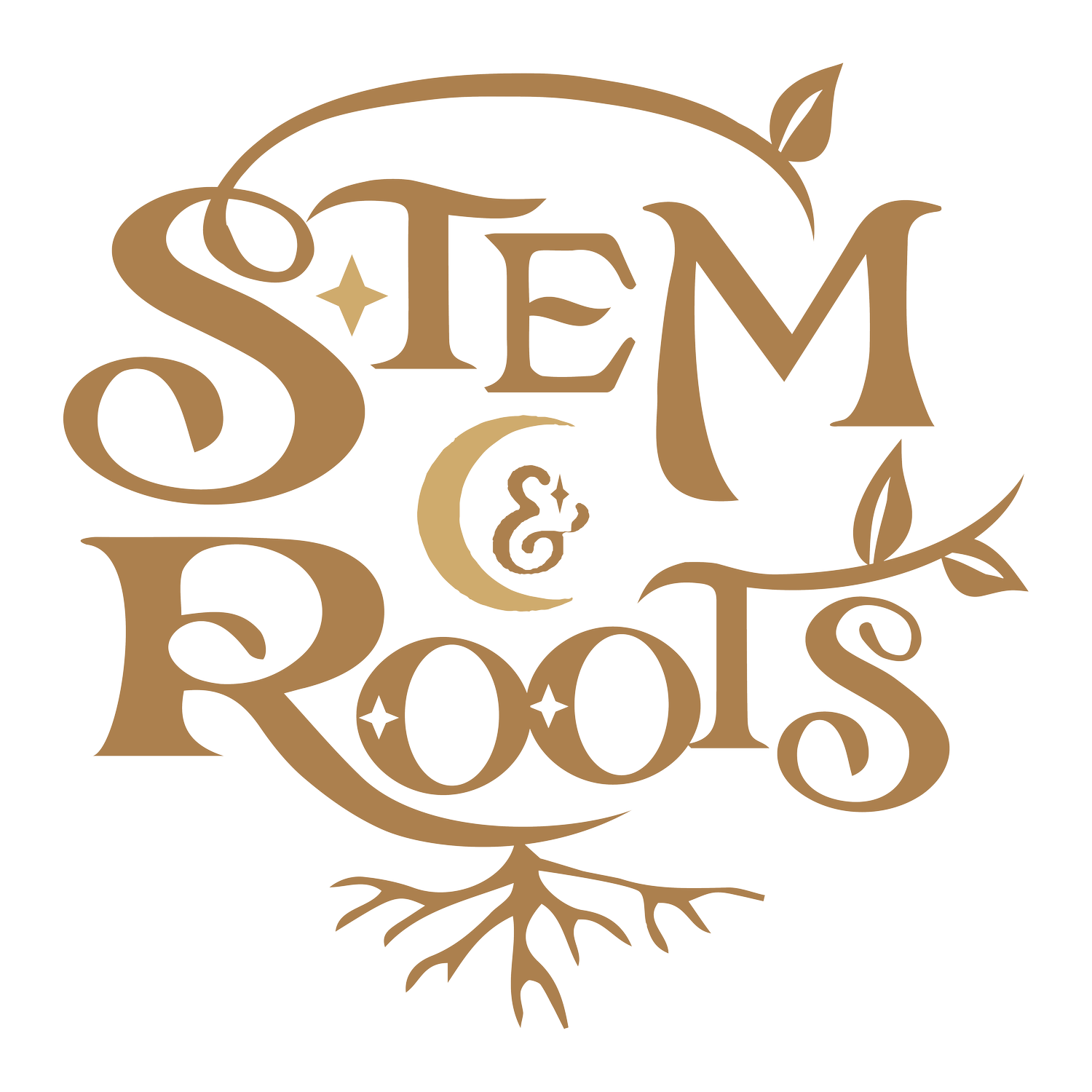 Stem and Roots