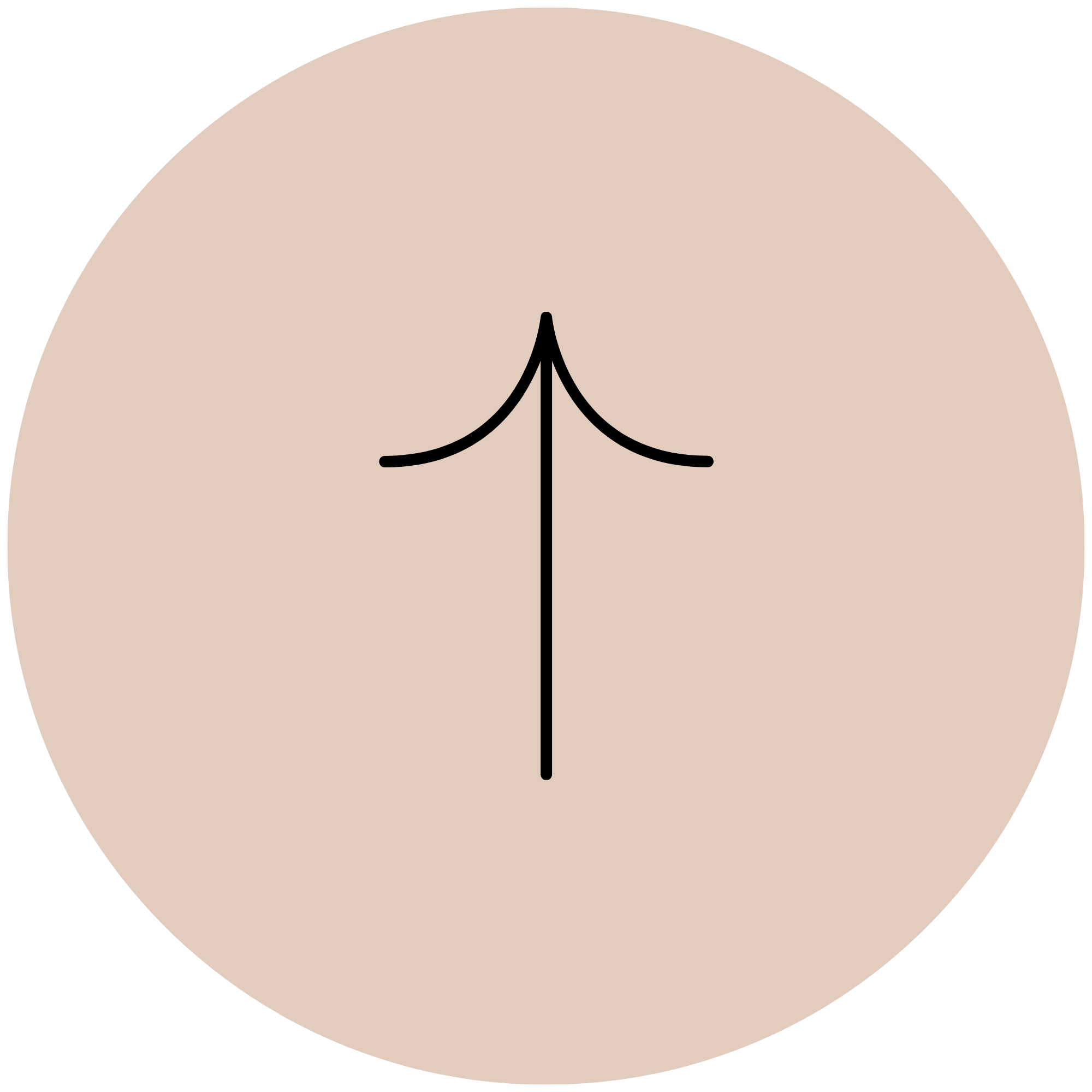 Scroll to Top