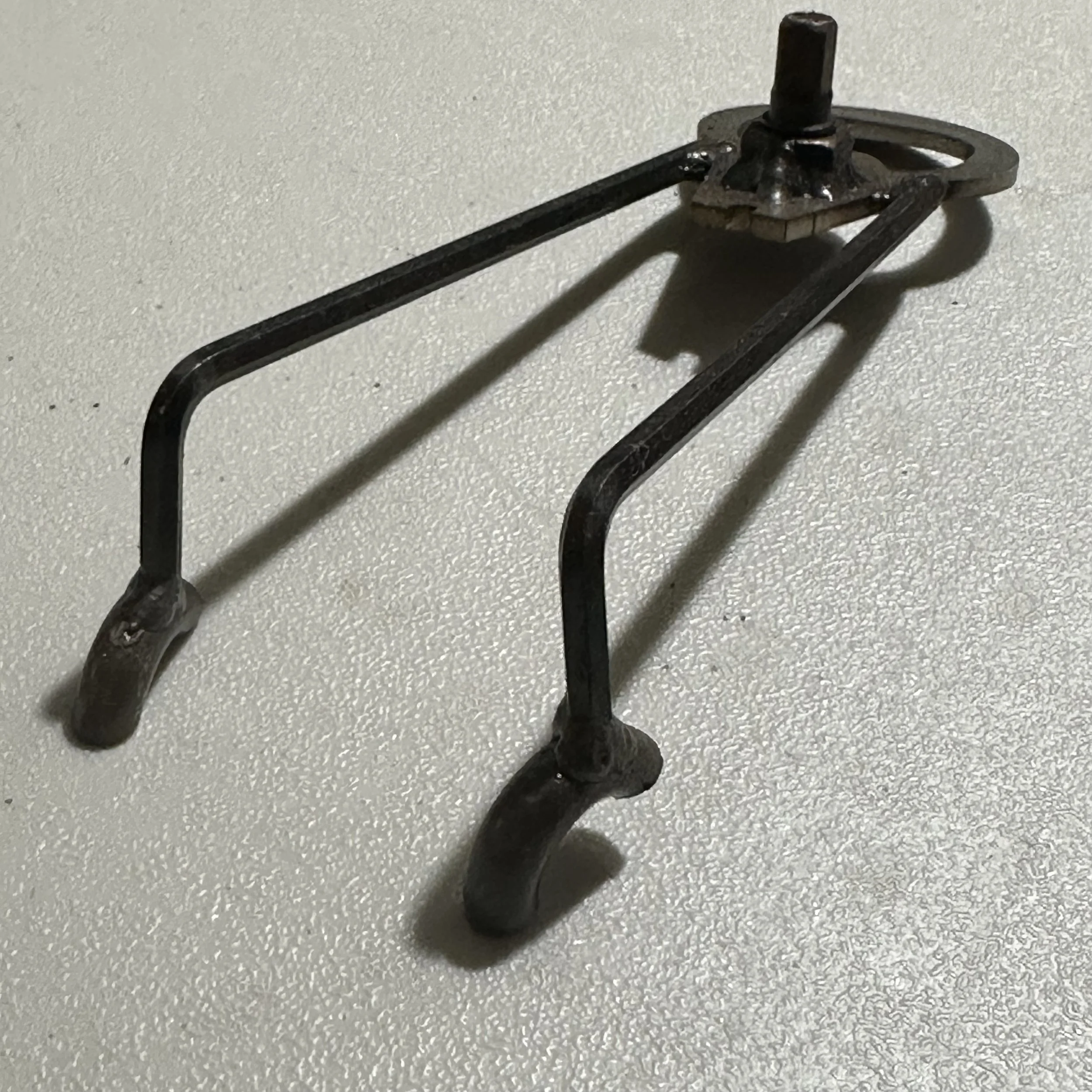 IMG_8870.jpeg