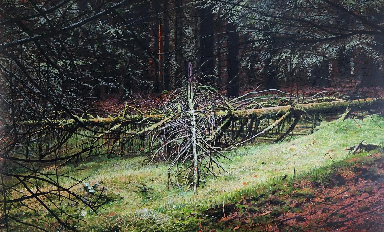 Scottish Landscape Awards Exhibition 2023 — Scottish Arts Trust