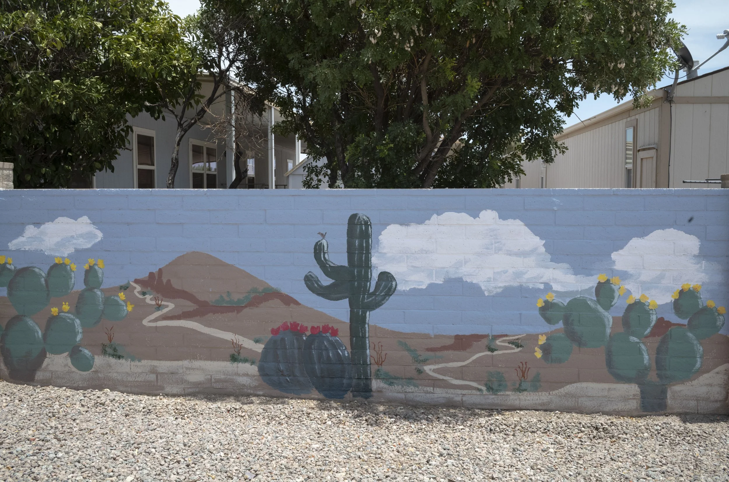 Close Up of our Murals