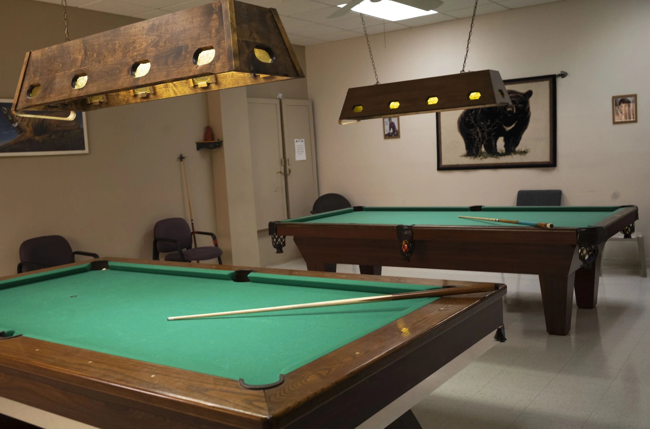 Billiards, Pool, and Fun- oh my!