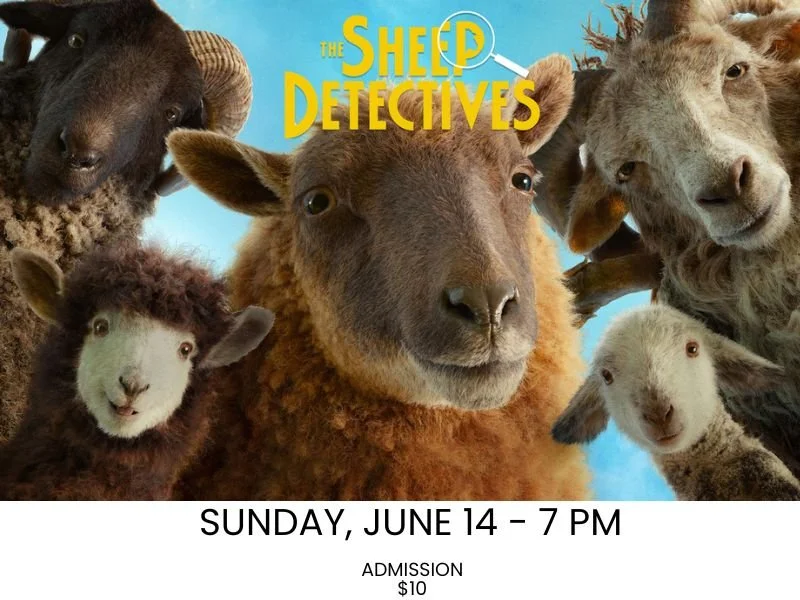 The Sheep Detectives