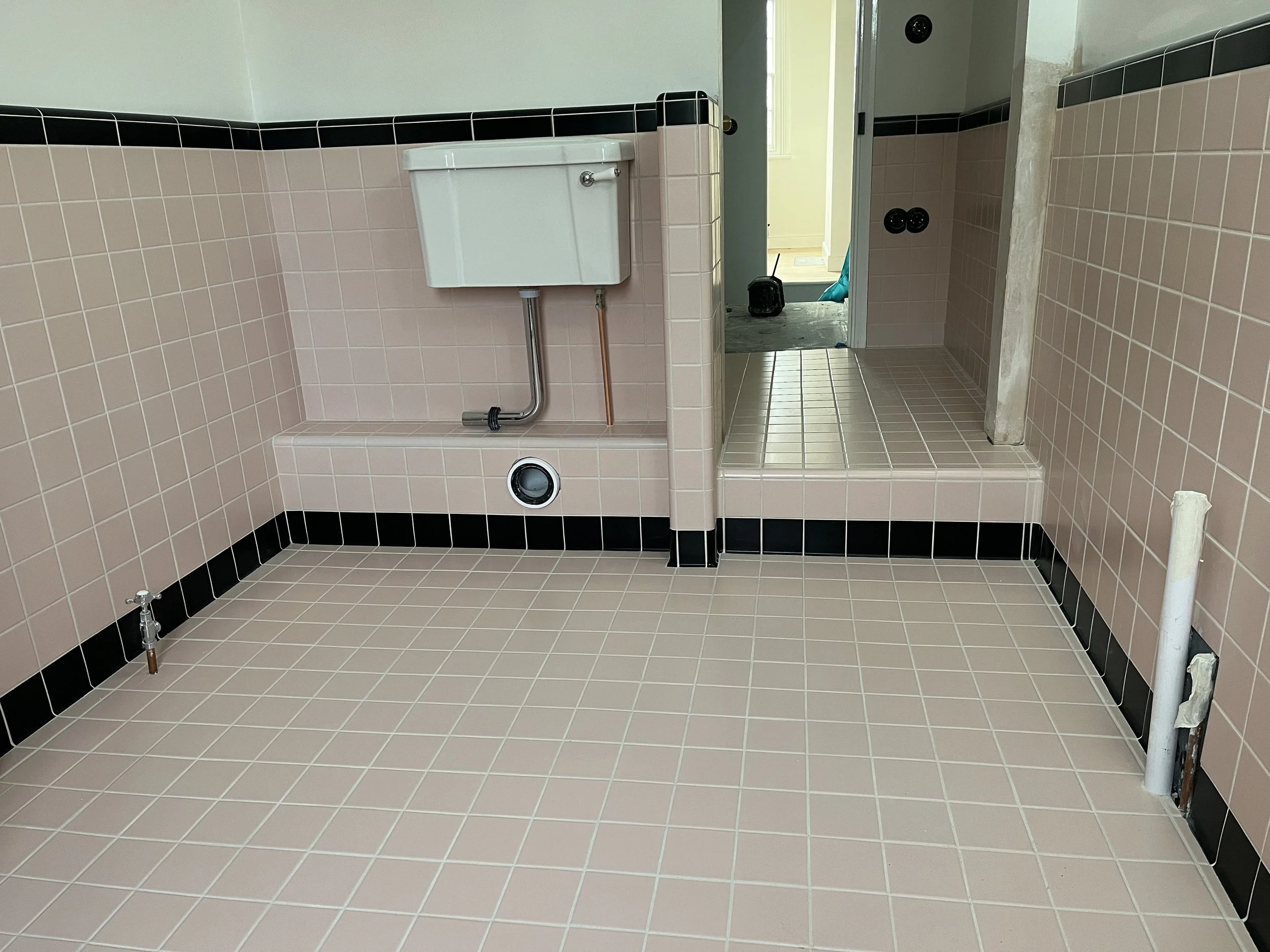 image_6487327 (3).JPG