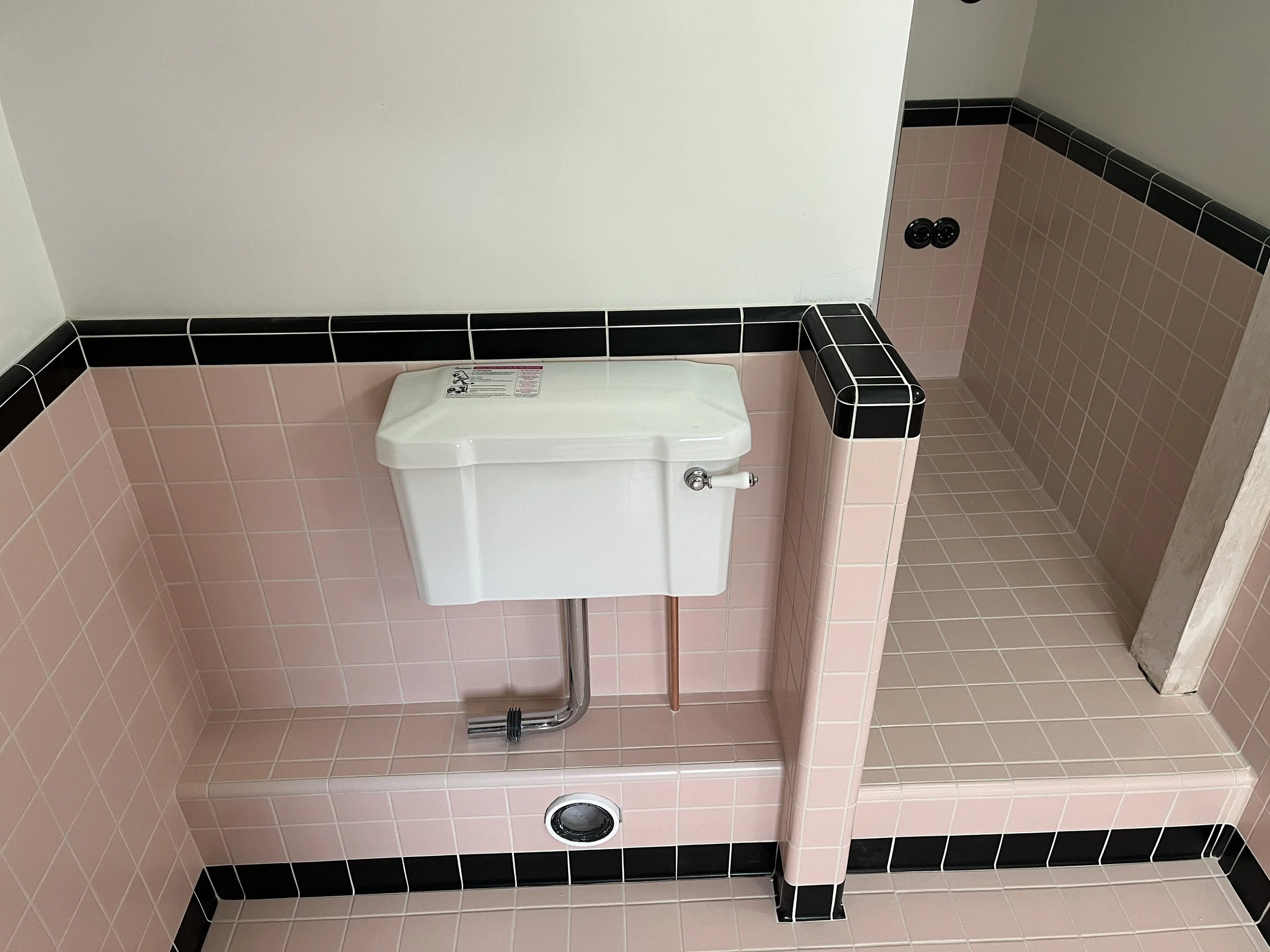 image_6487327 (2).JPG