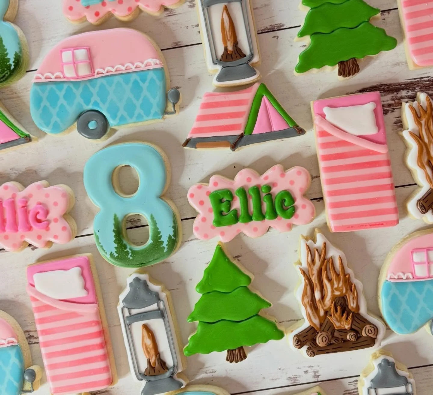Happy 8th birthday Ellie! I hope your camping sleepover 🏕️🏕️🏕️ was fantastic!

#jojoscookieboutique #blairsvillega #campingcookies
