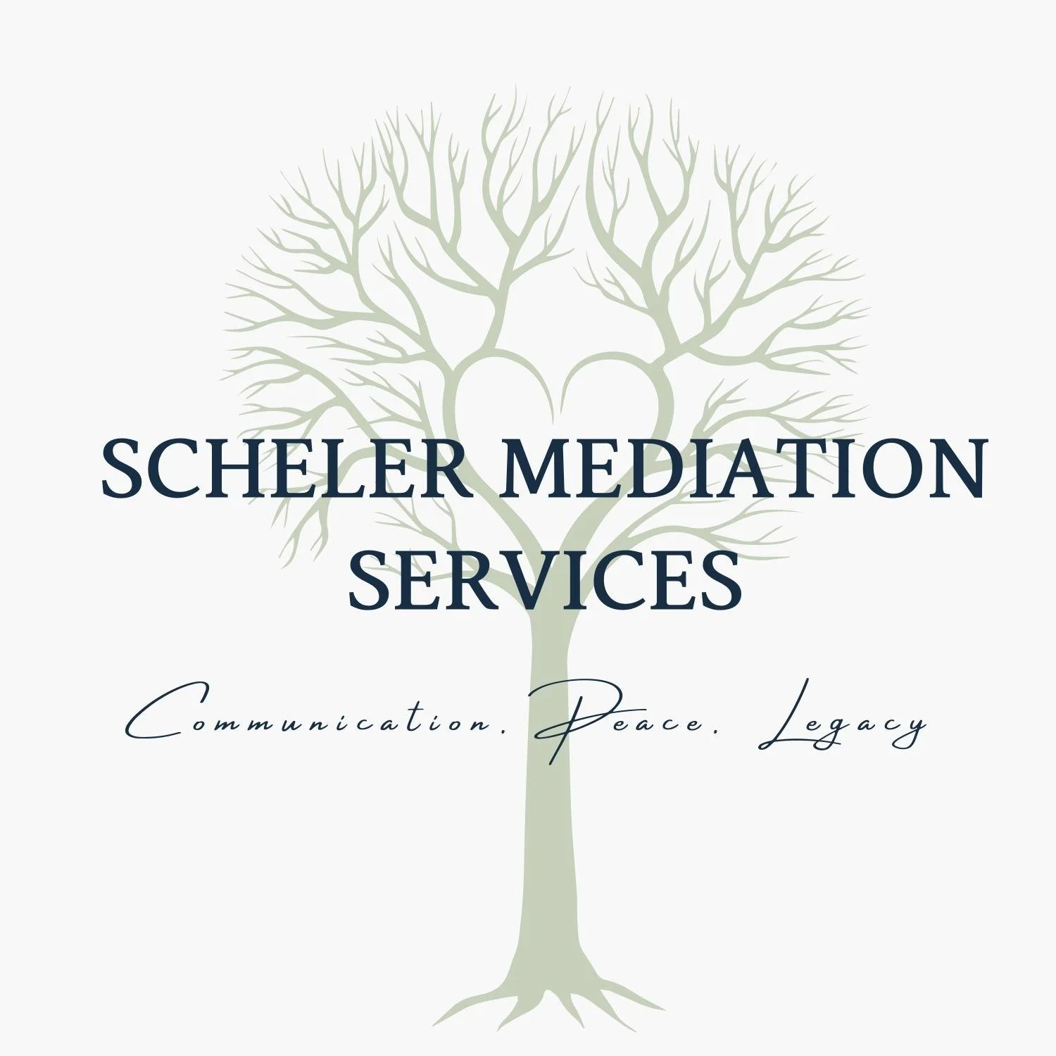 Scheler Mediation Services, LLC Best Mediation Virginia