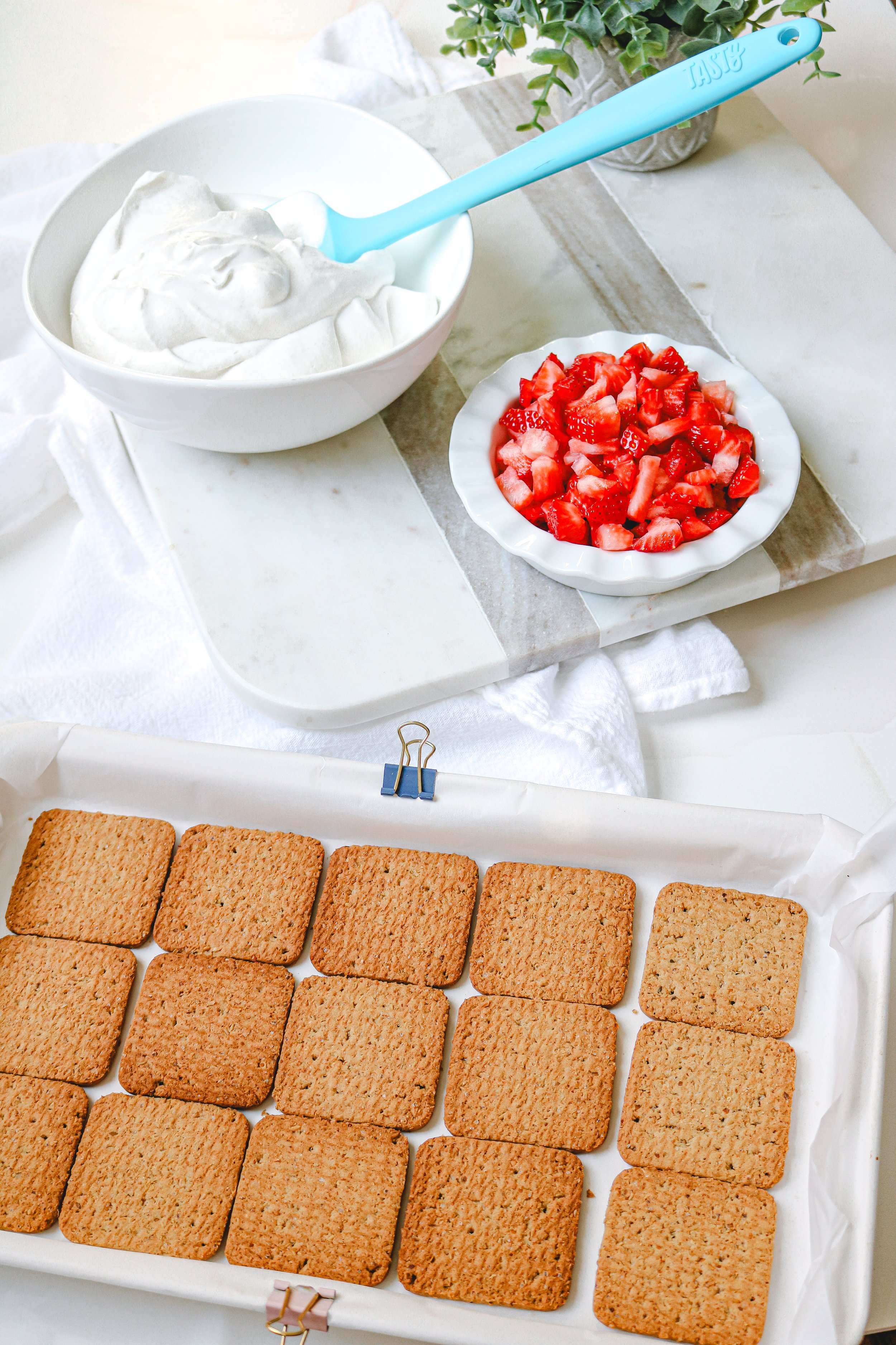 Gluten Free Dairy Free "Ice Cream" Sandwiches.