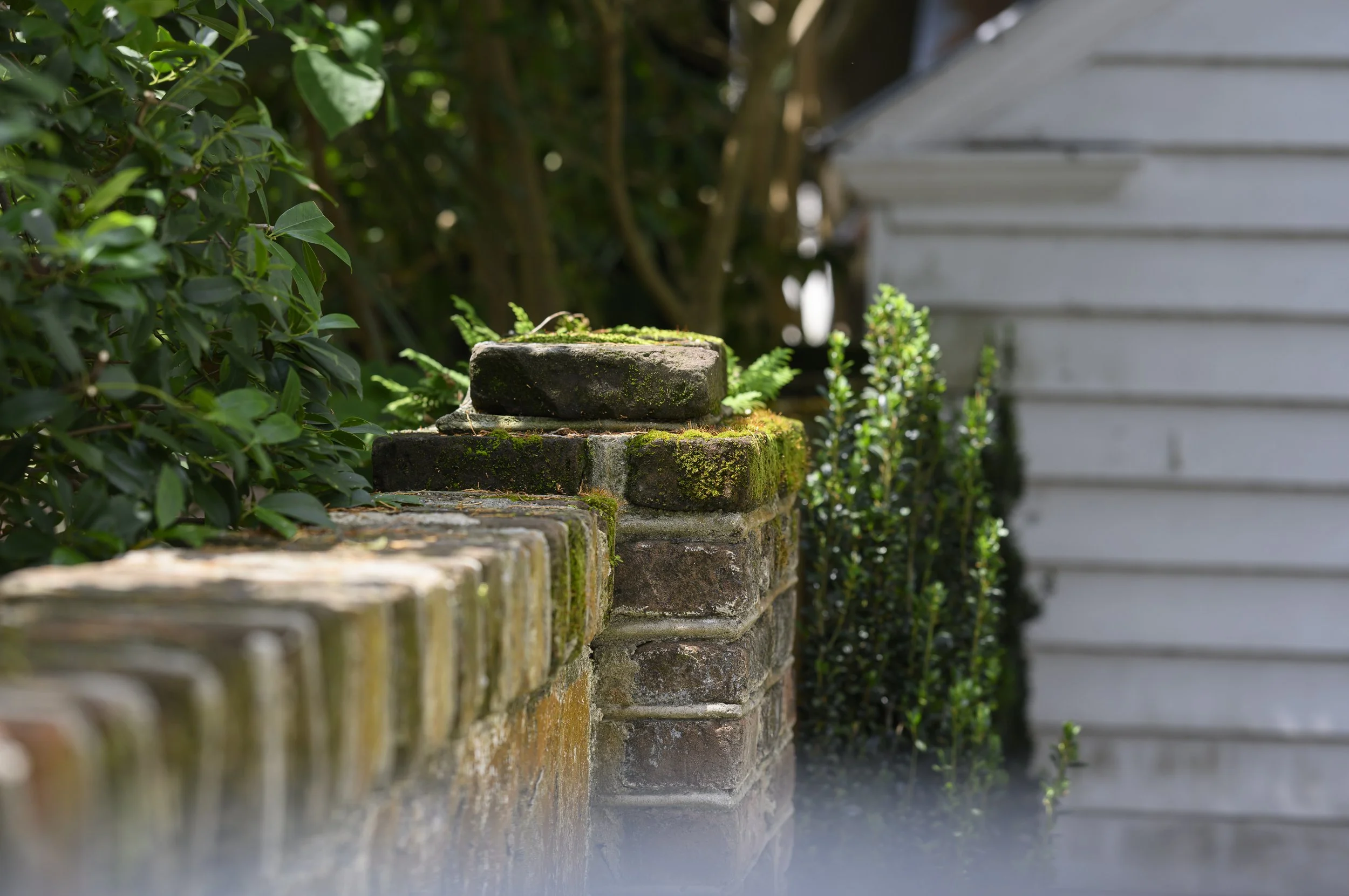 Historic Charleston Garden Renovation (25).jpg