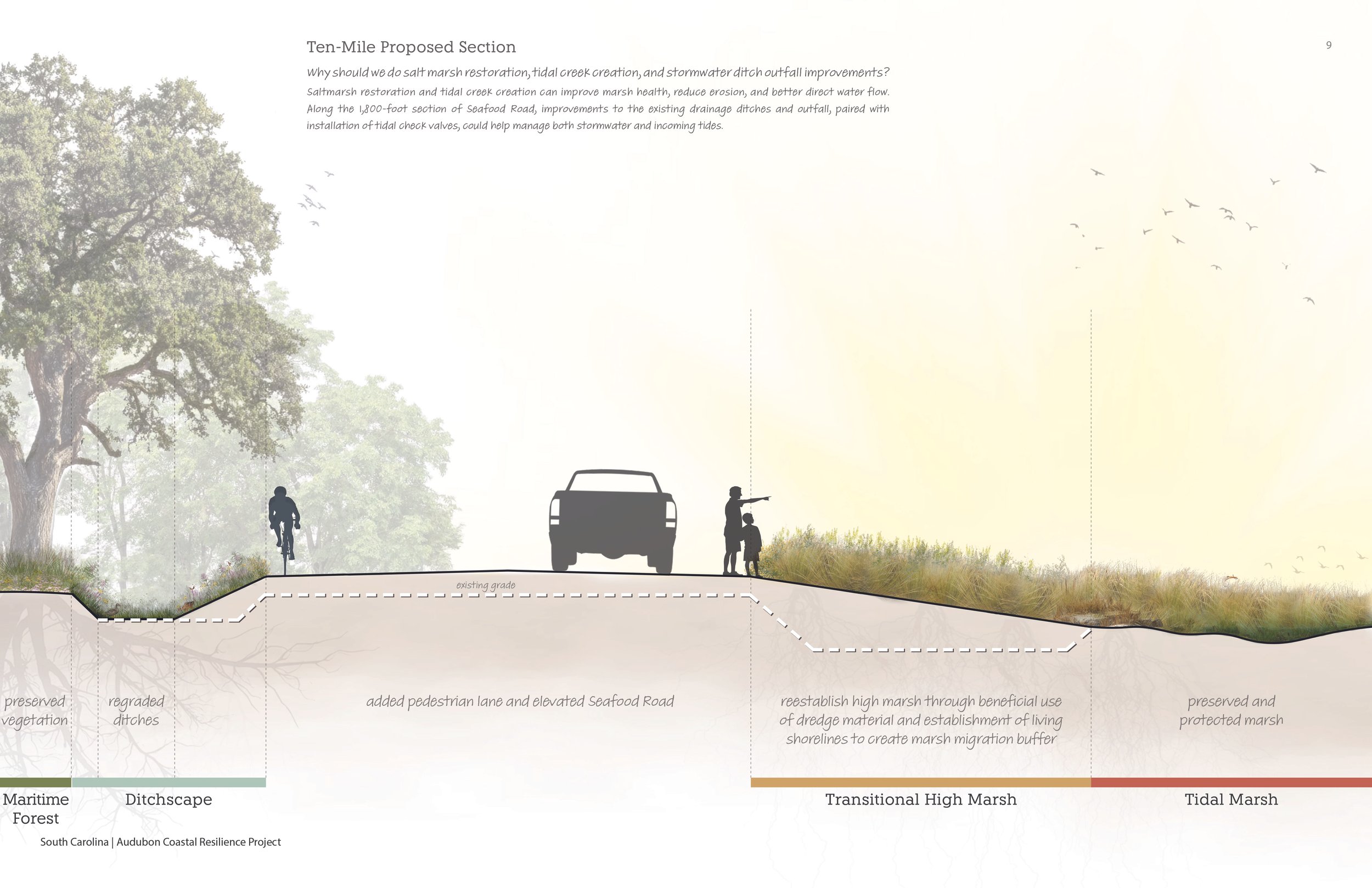 Marsh Restoration Section.jpg