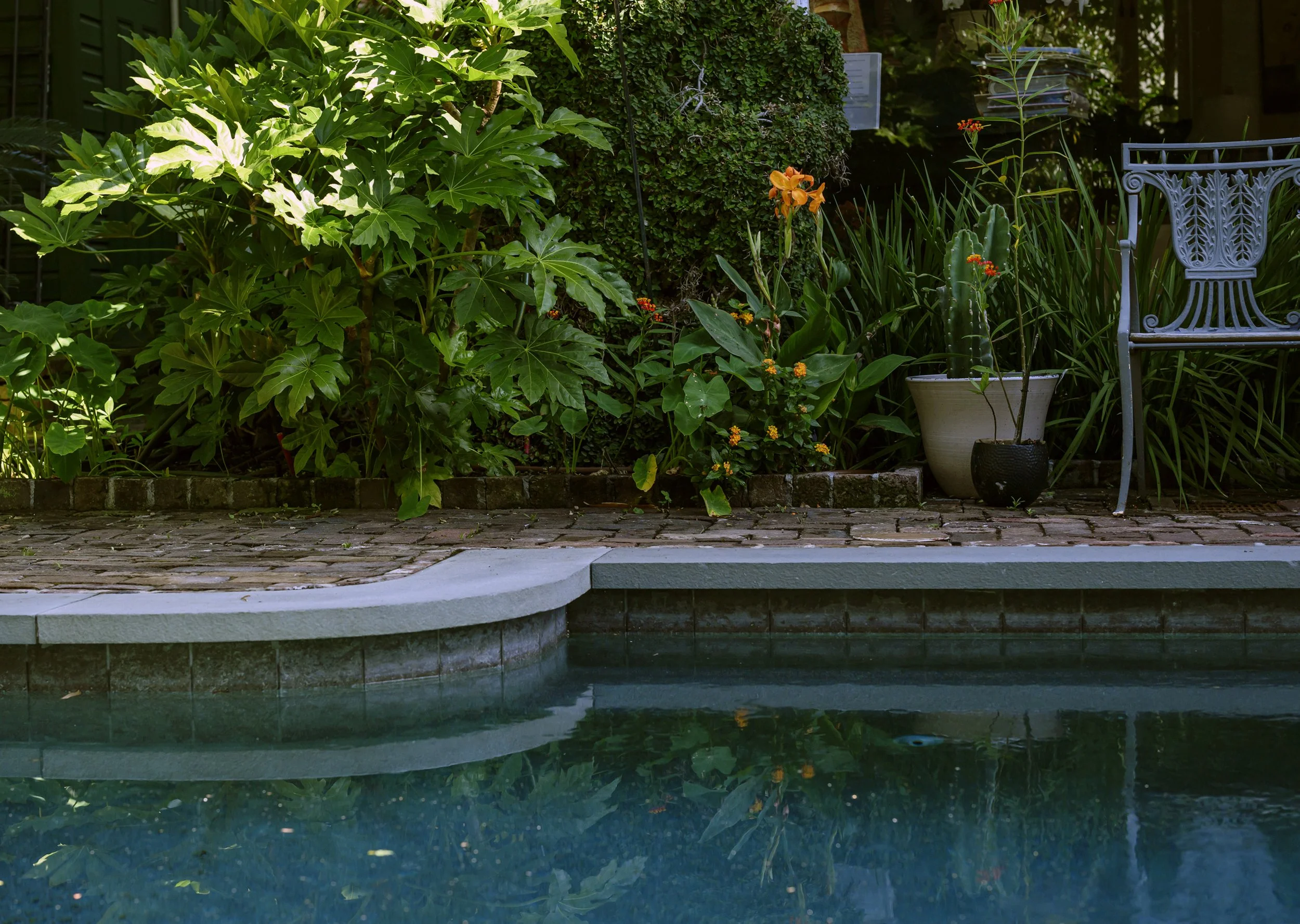 Garden Pool Addition (5).jpg