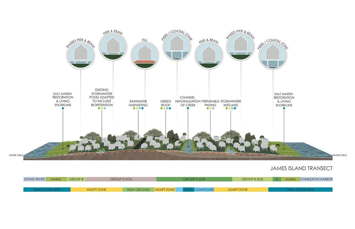 land and water analysis James Island Transect.jpg