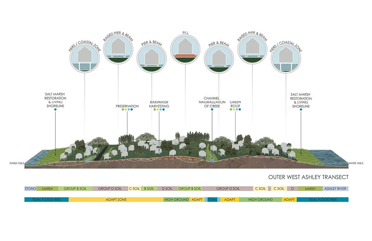 land and water analysis outer west ashley Transect.jpg