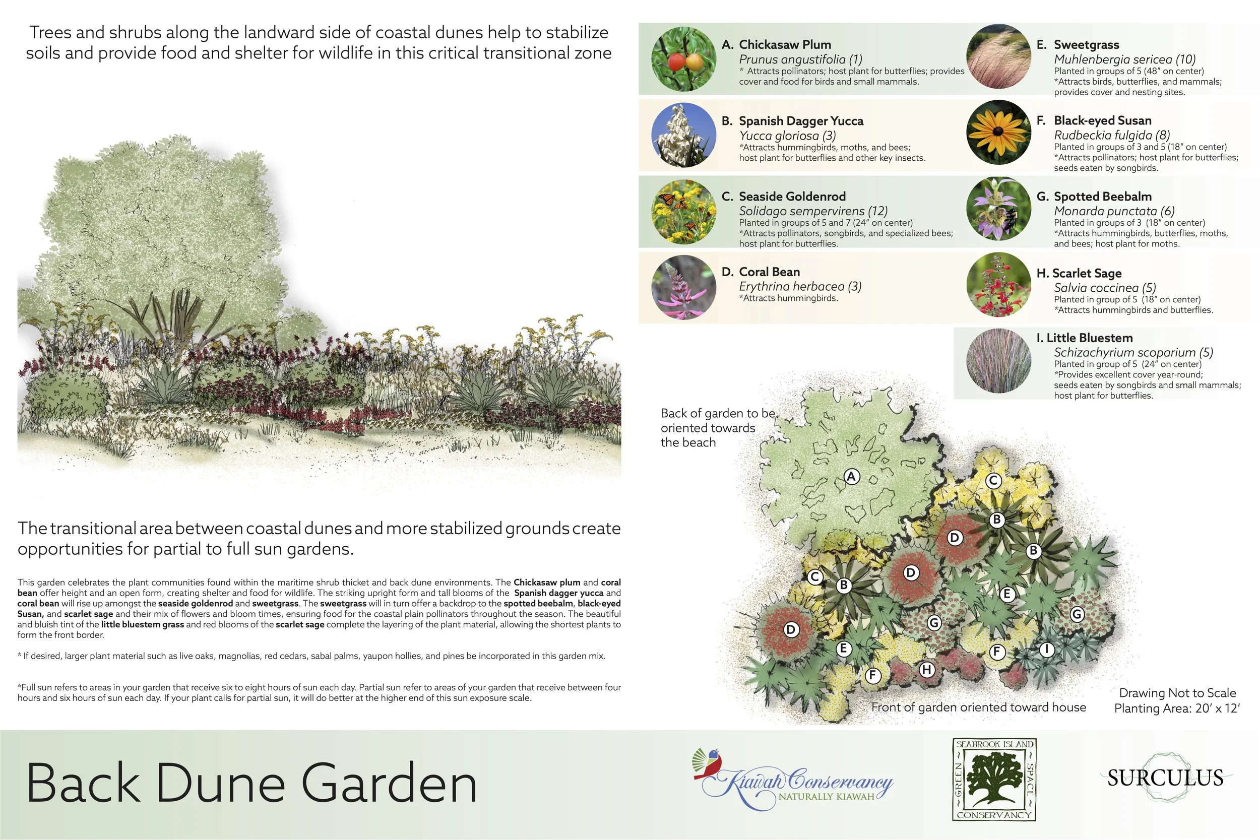 Plant Templates_20231002-FINAL 2.jpg
