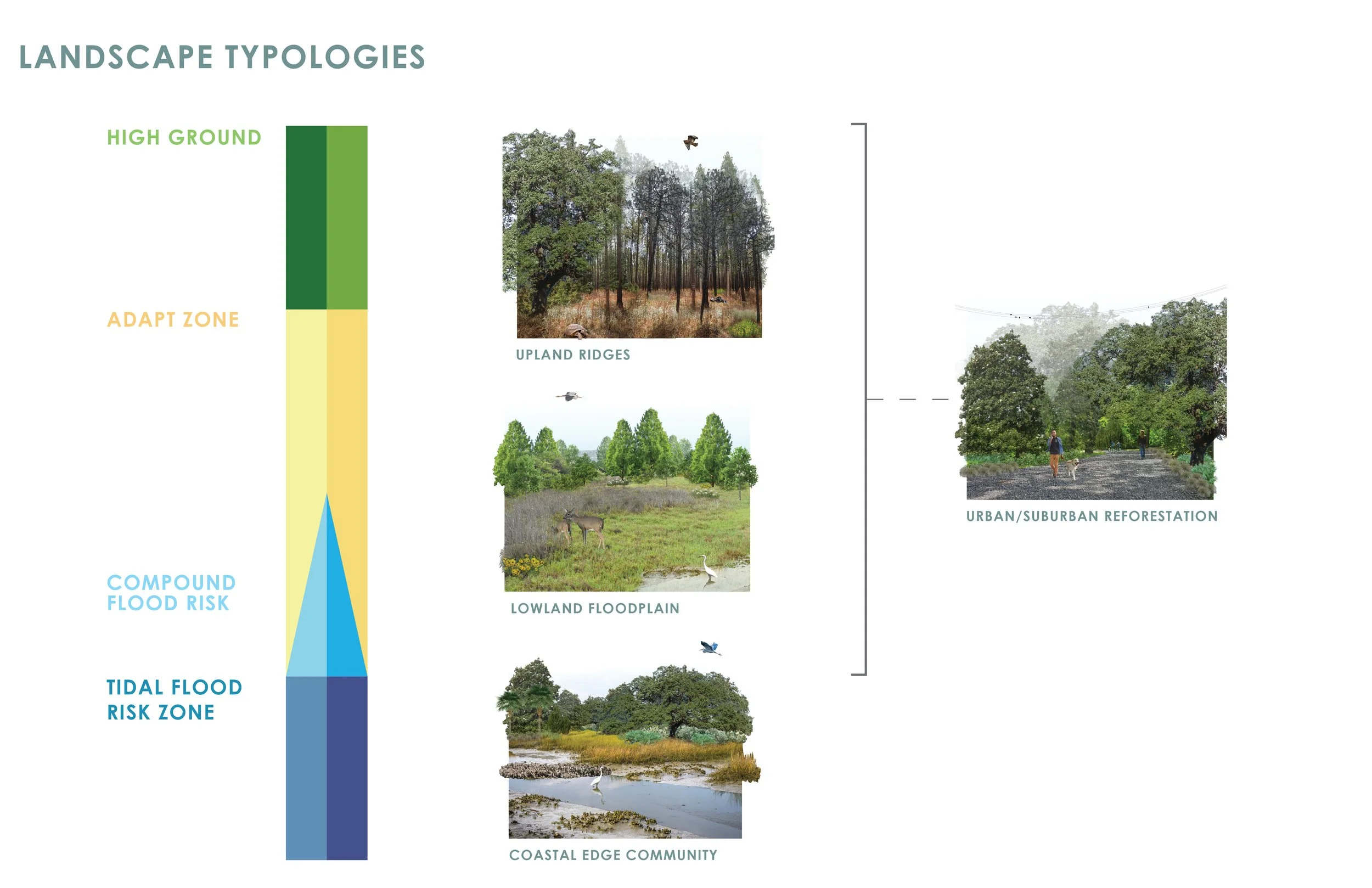 typology 6.jpg