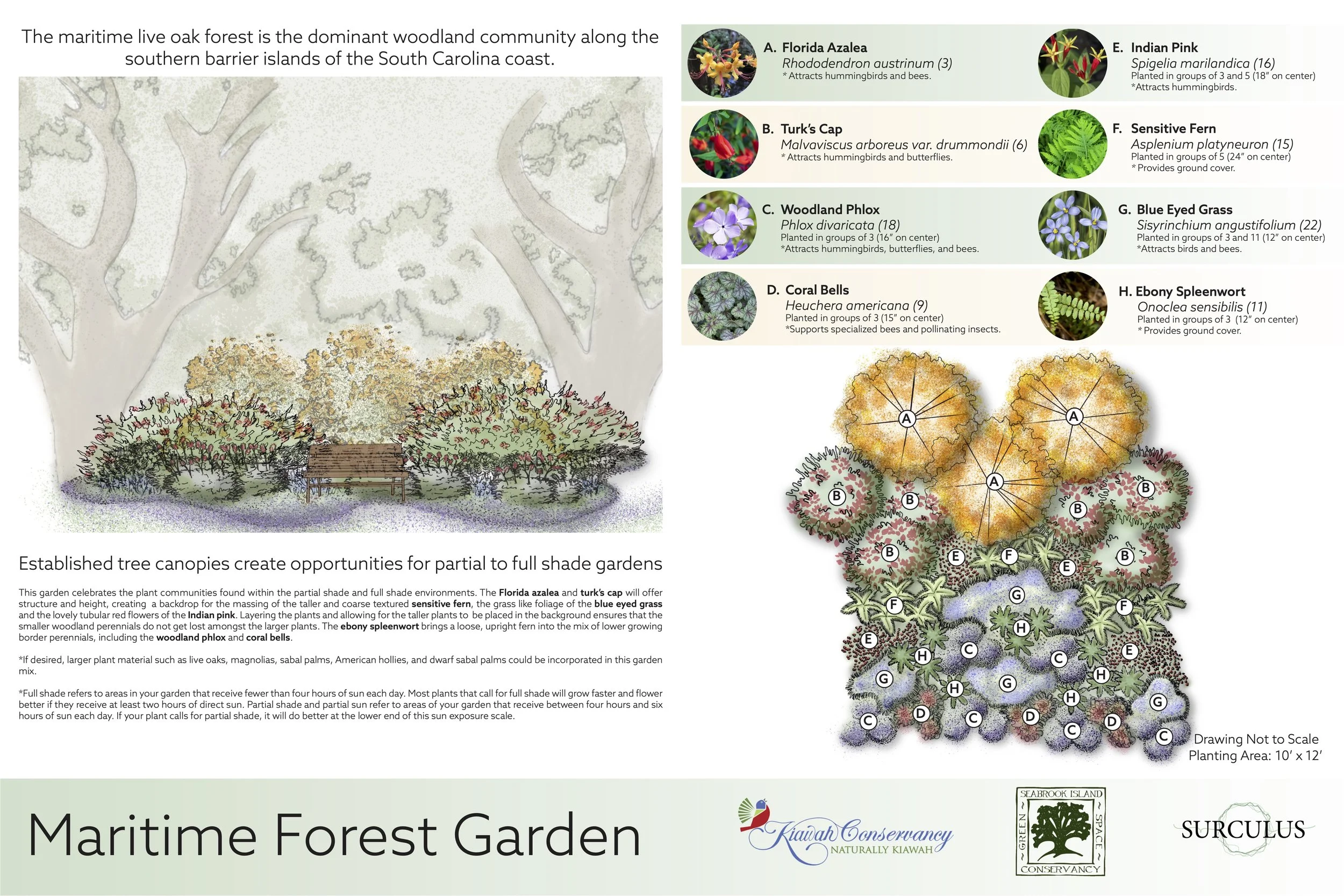Plant Templates_20231002-FINAL 1.jpg