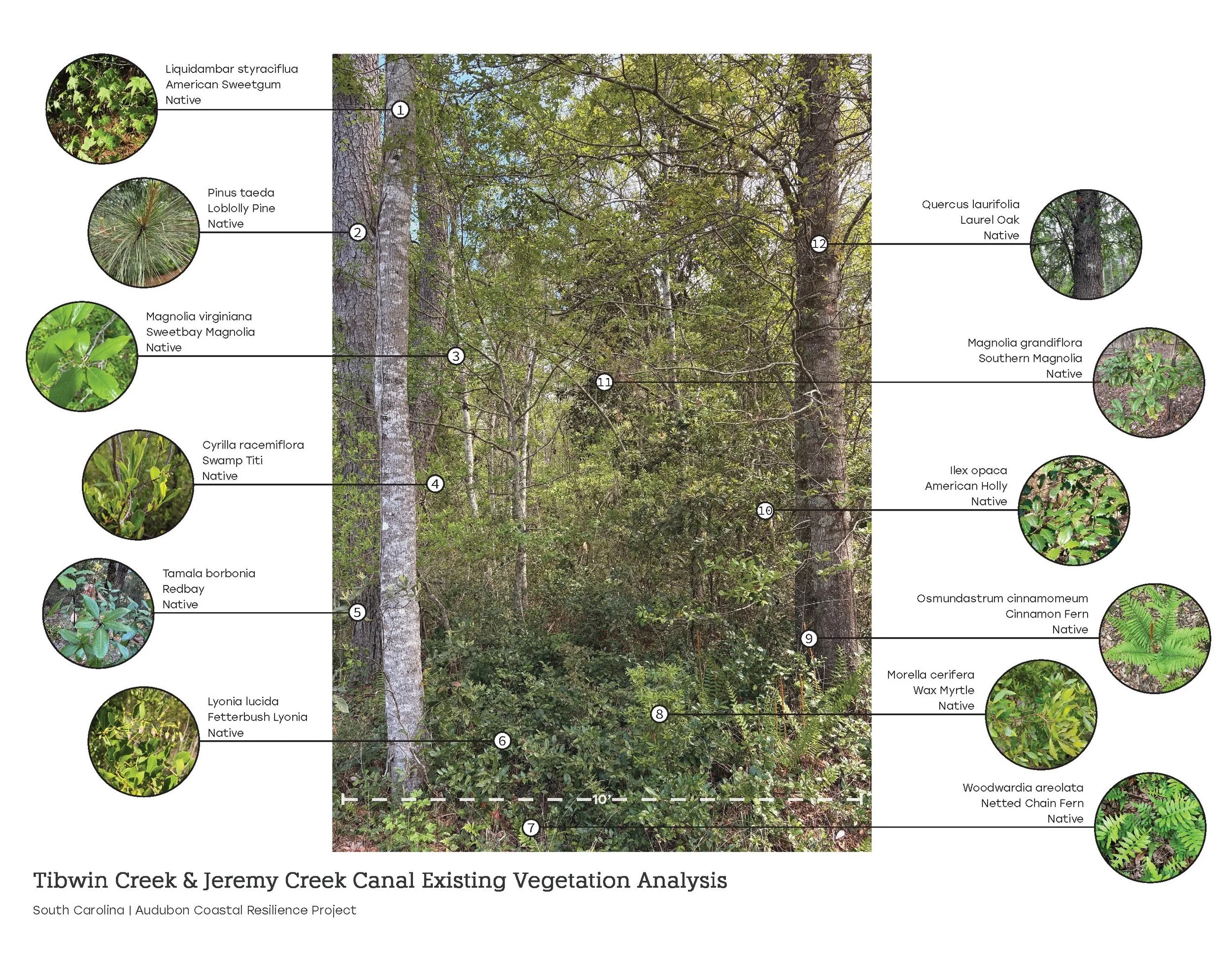 Pages from Tibwin-Ten Mile Plant Analysis.jpg