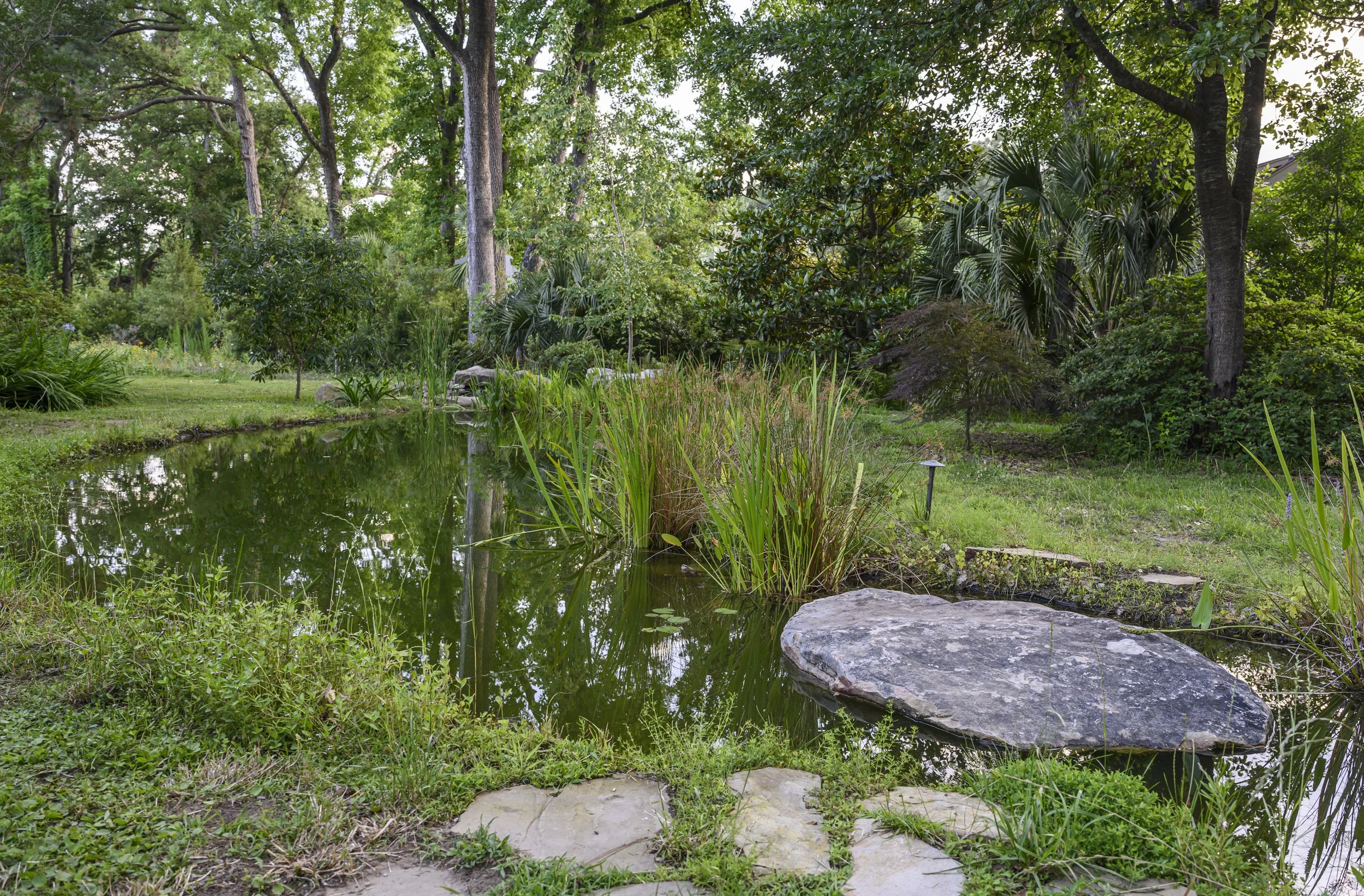 Naturalized Pond Landscape (6).jpg