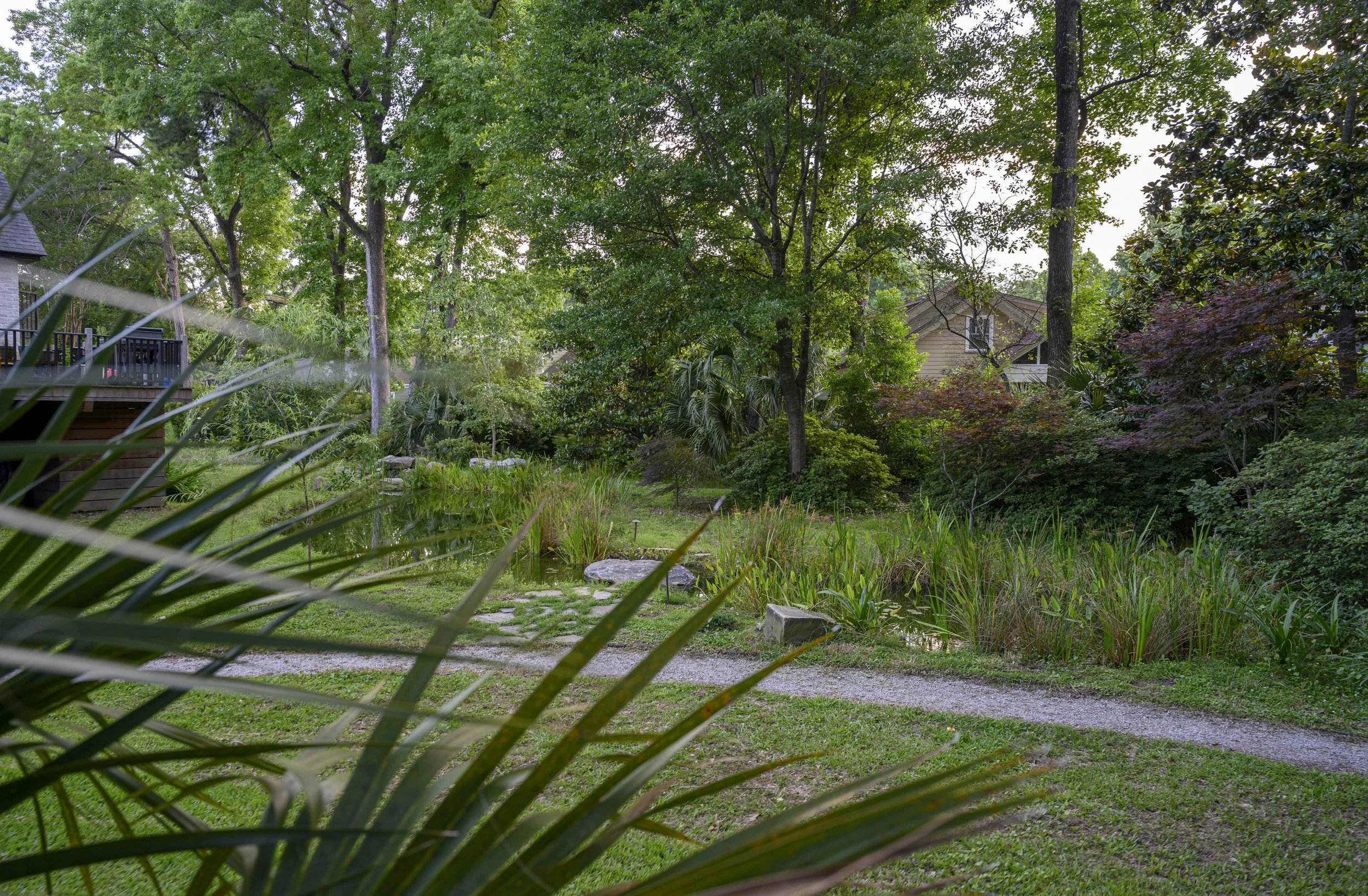 Naturalized Pond Landscape (8).jpg
