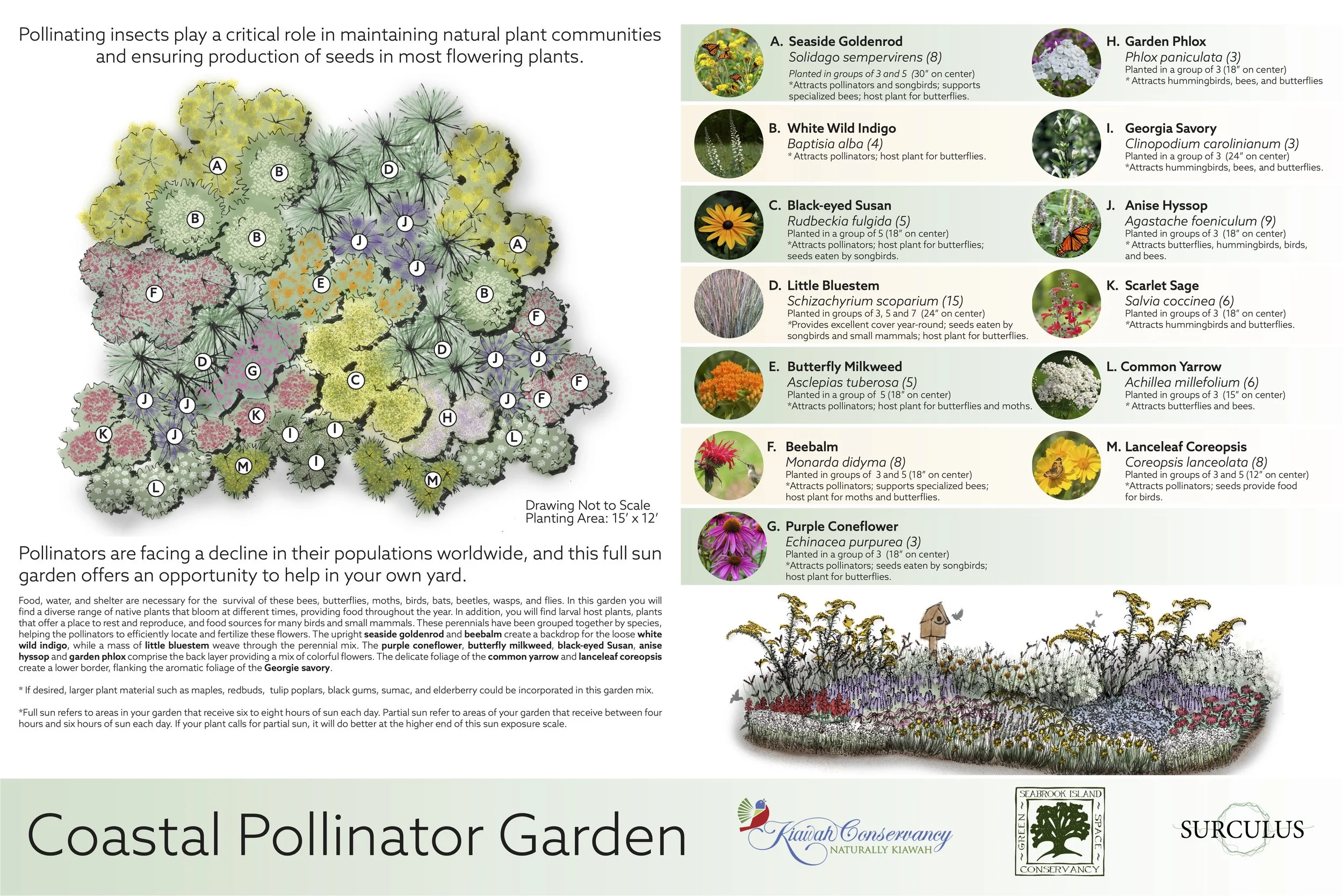 Plant Templates_20231002-FINAL 3.jpg