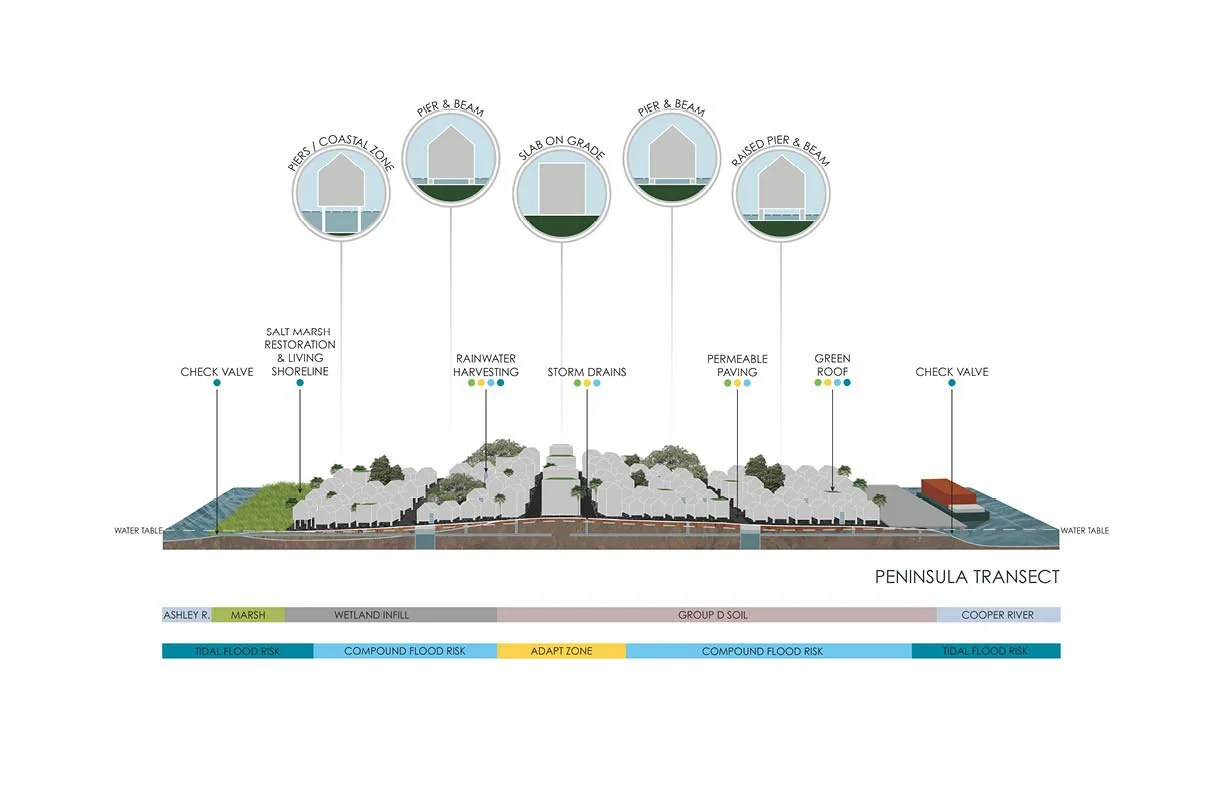 land and water analysis peninsula Transect.jpg