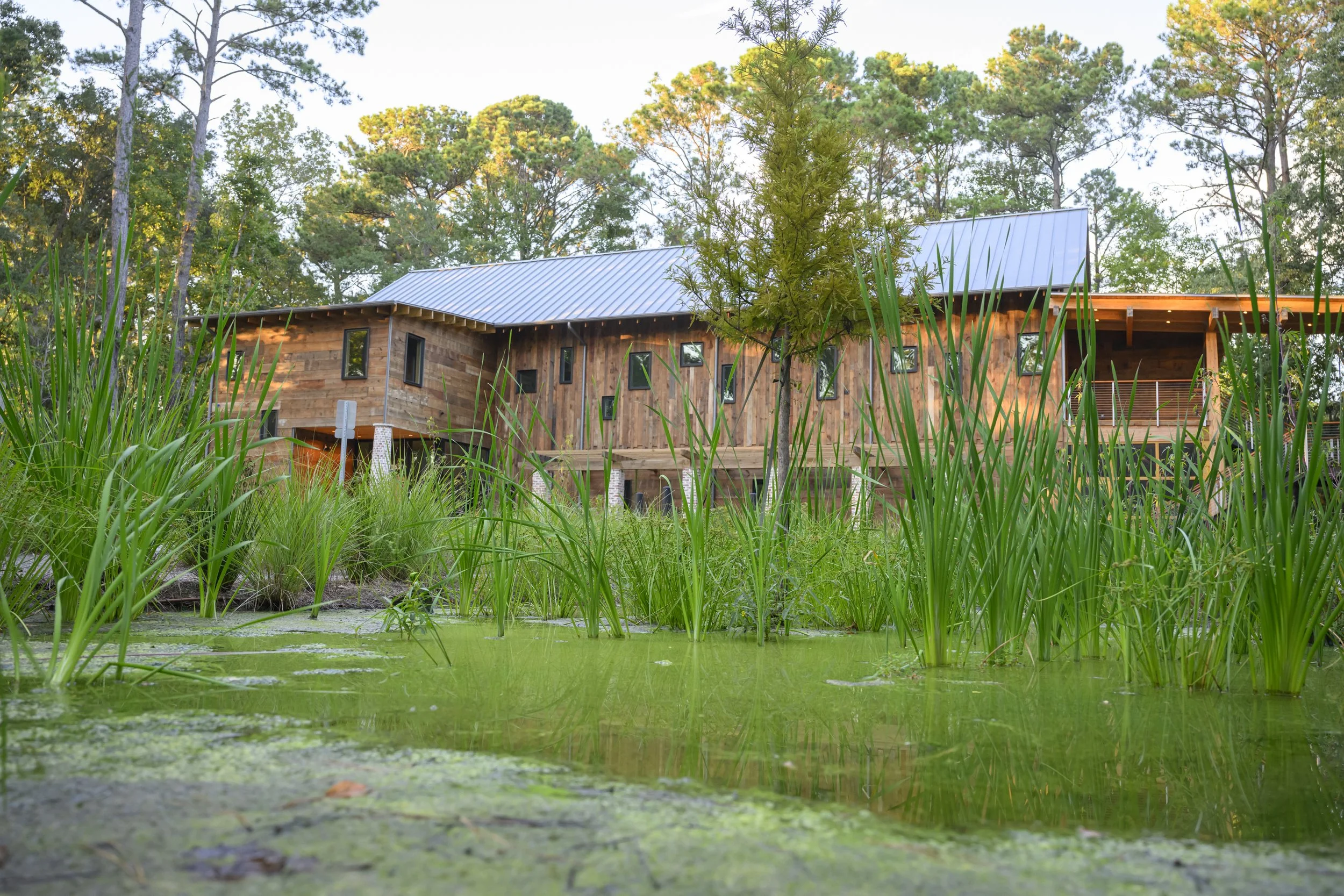 Lowcountry Center for Conservation (1).jpg