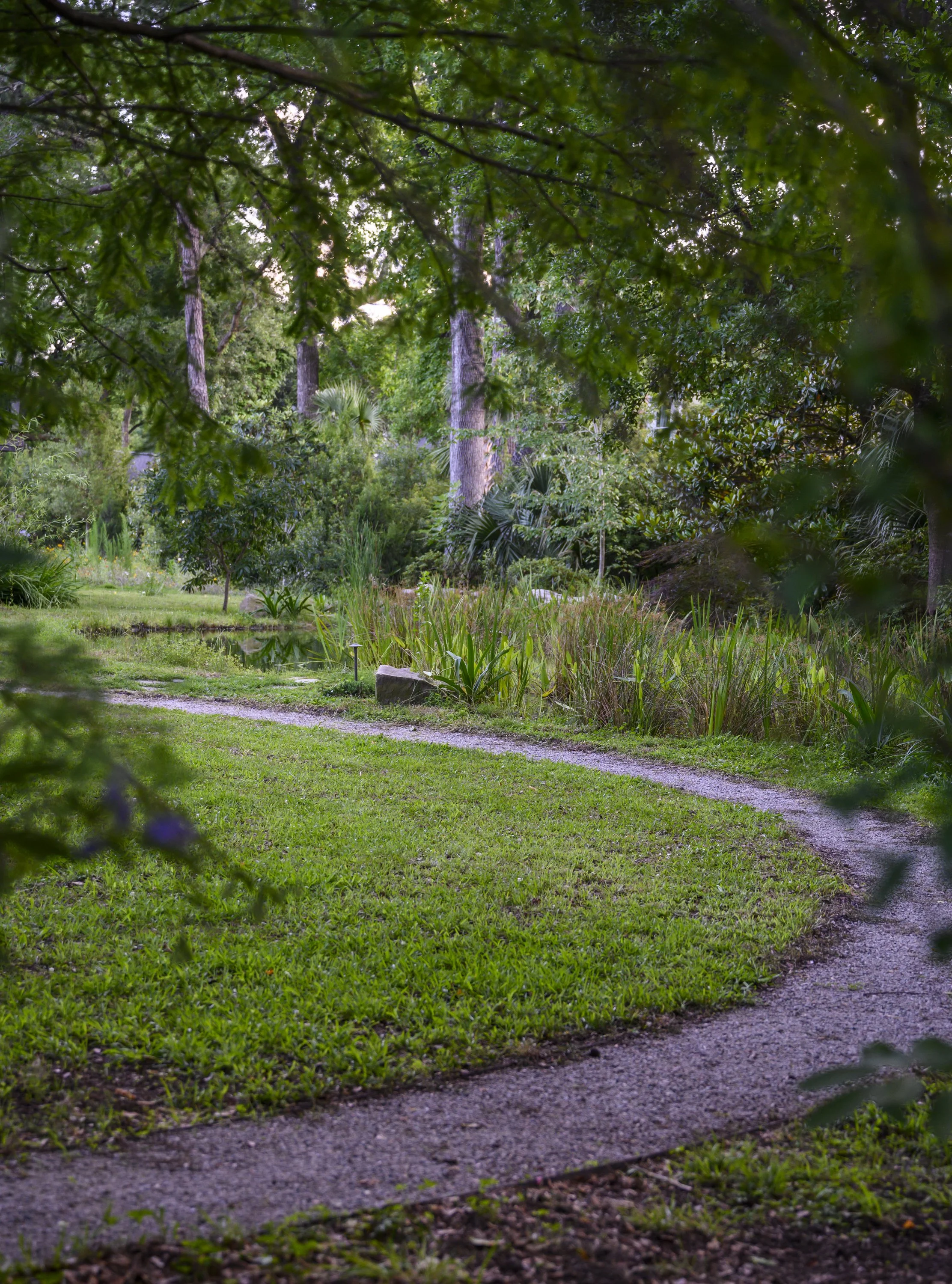 Naturalized Pond Landscape (12).jpg