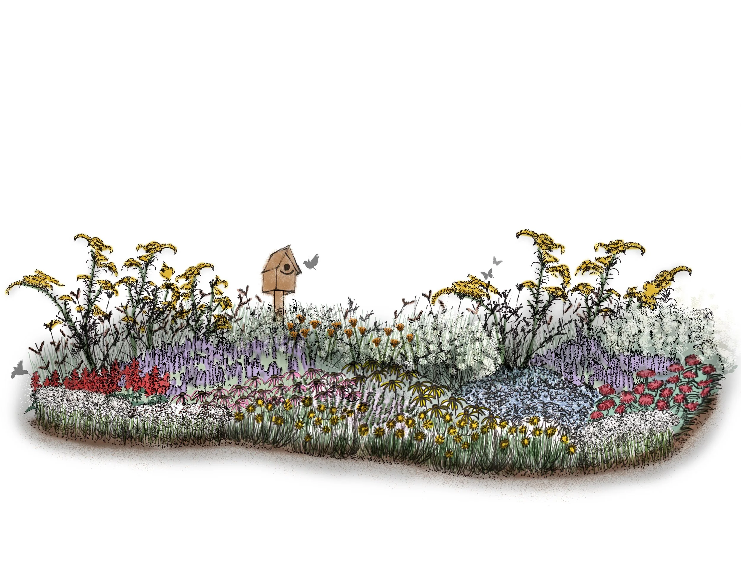 Kiawah & Seabrook Residential Planting Templates