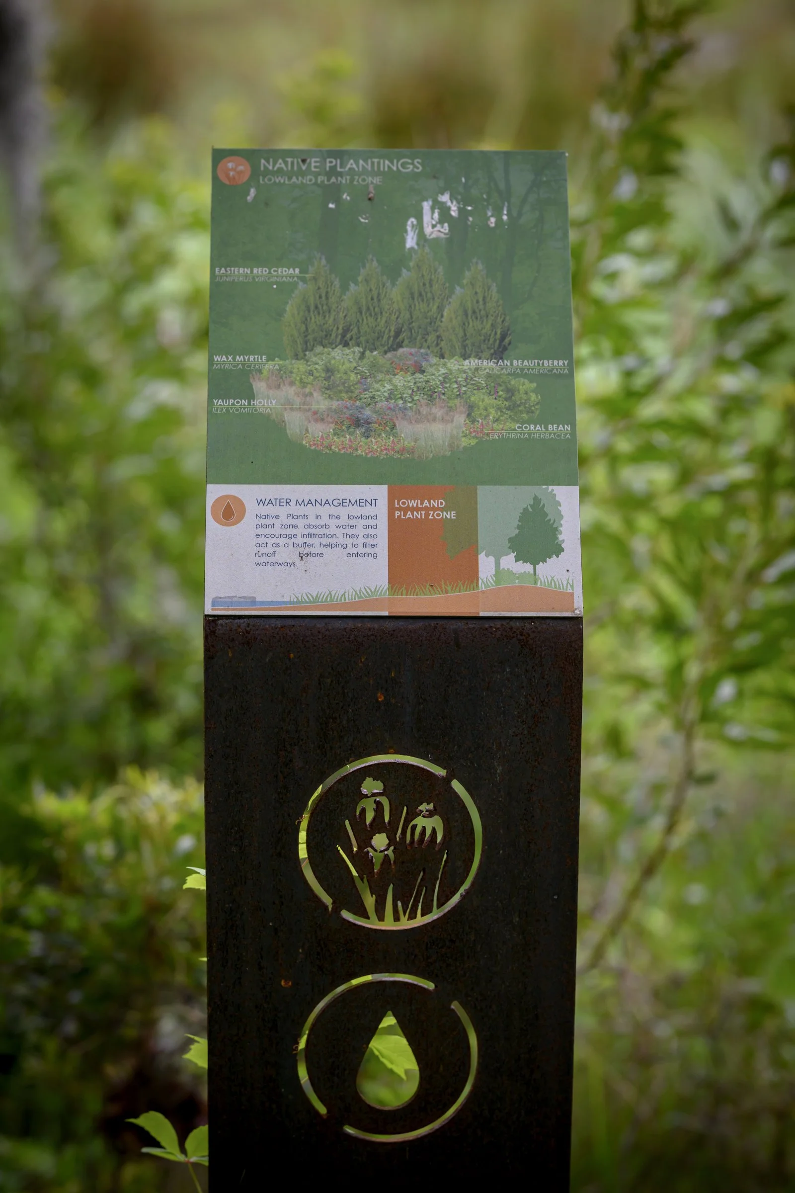 Surculus_ecological_Parkbw8_6518.jpg