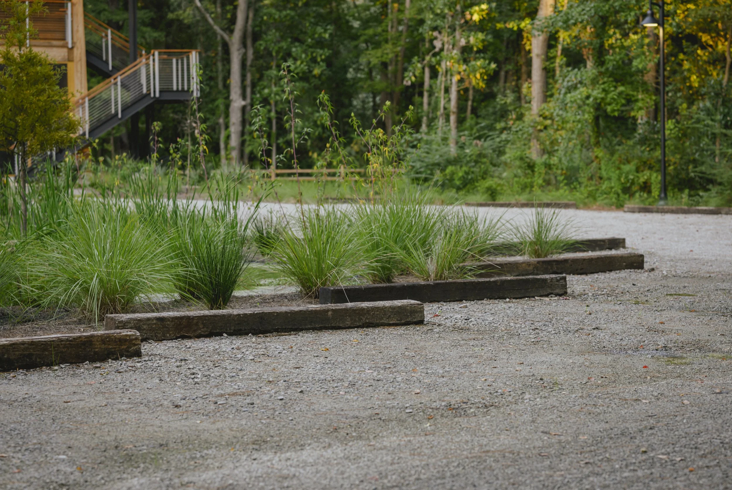 Lowcountry Center for Conservation (18).jpg