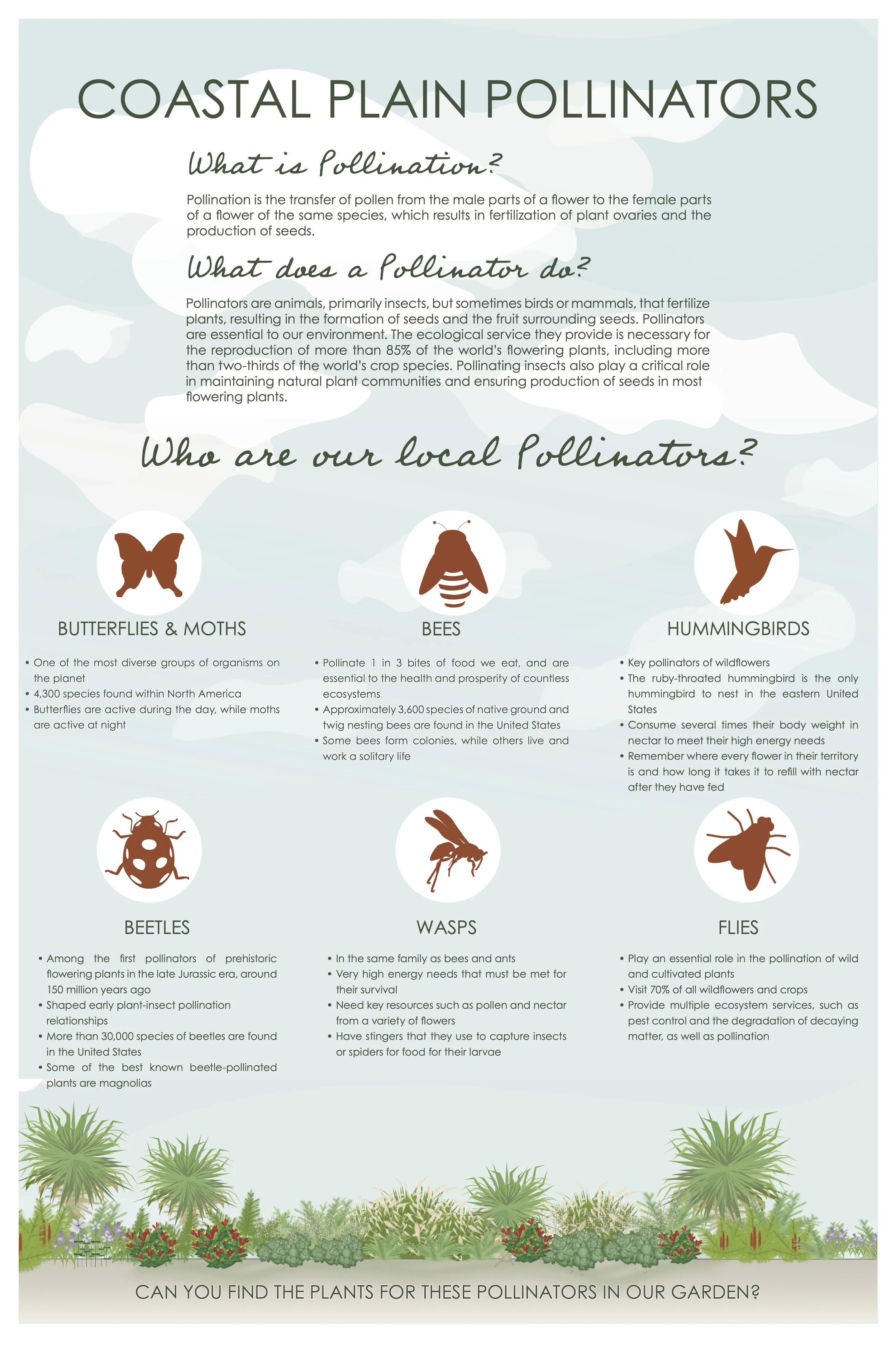 20240209_Coastal Pollinators Final.jpg
