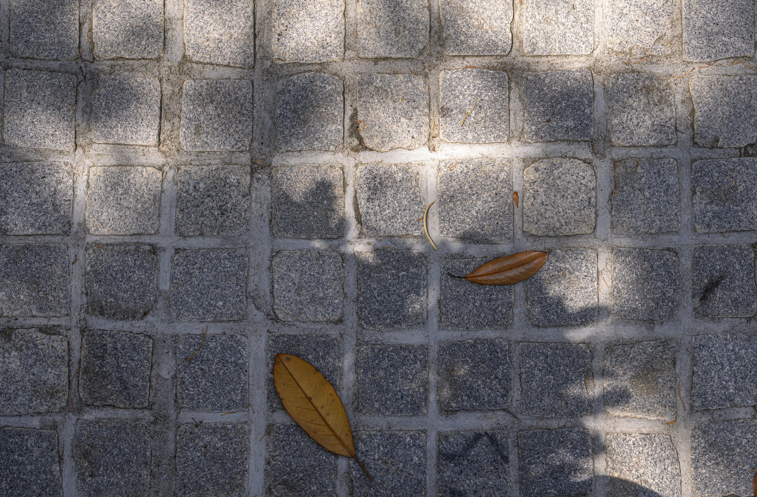 Historic Charleston Garden Renovation (9).jpg