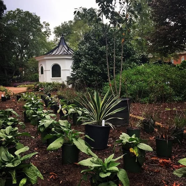 SC Governors Mansion Native Plant Overlays