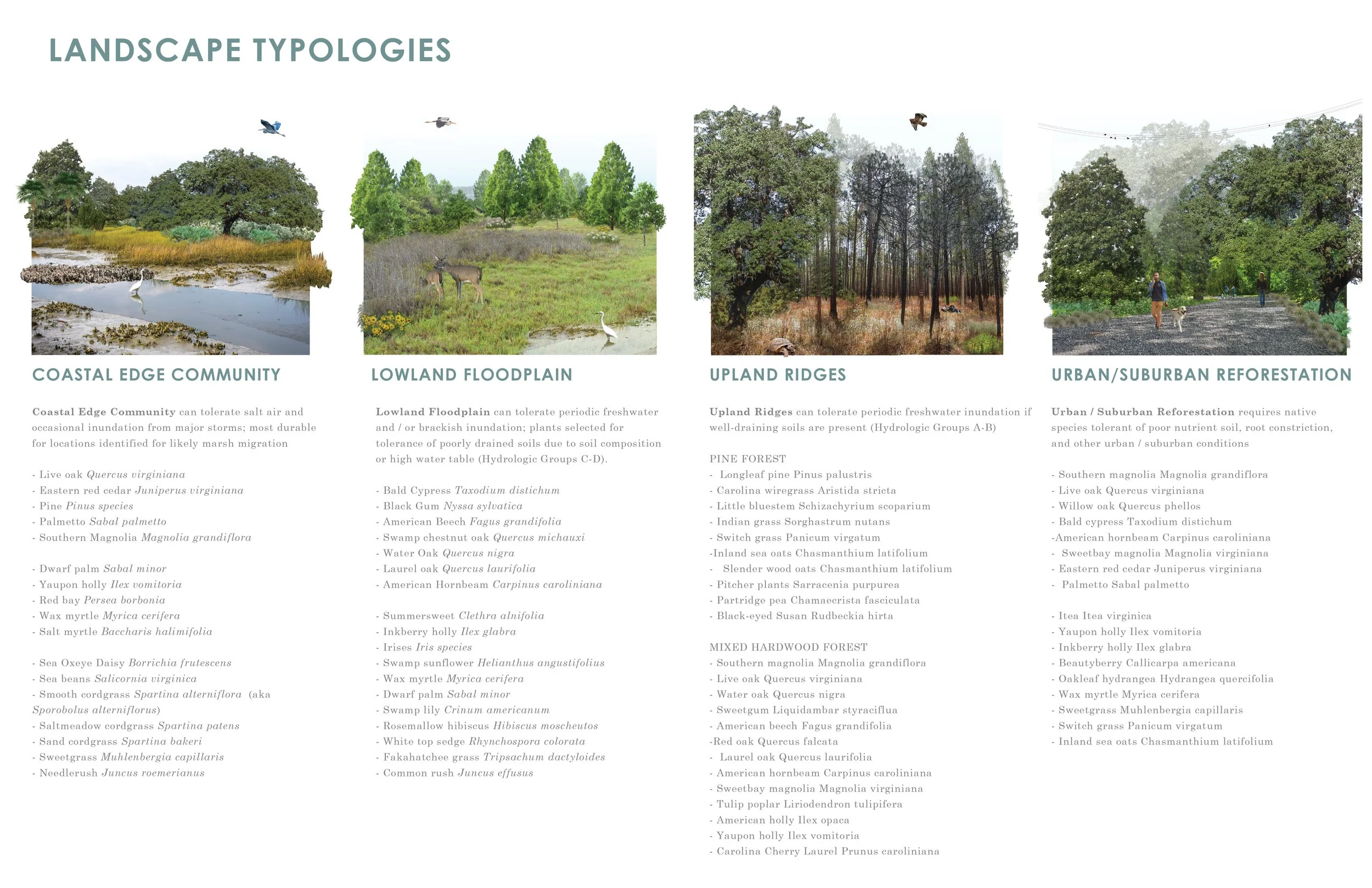 typology 5.jpg