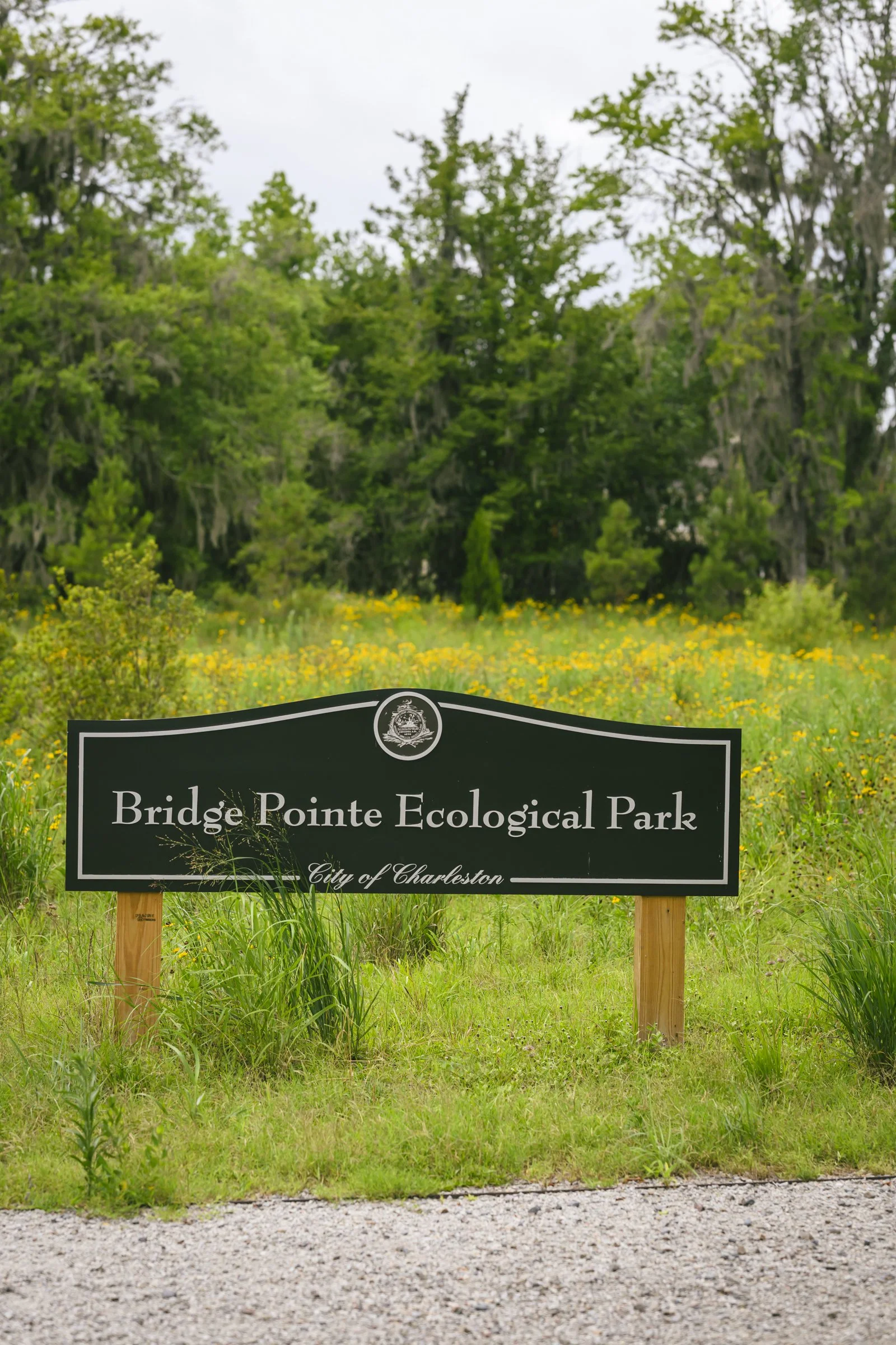 Surculus_ecological_Parkbw8_6807.jpg