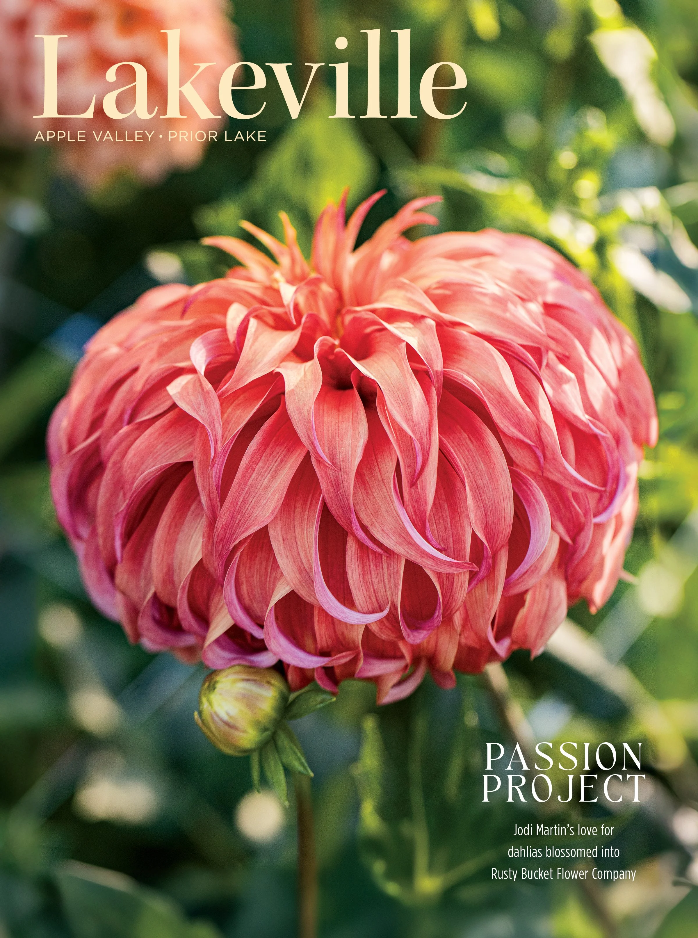 Subscription to Lakeville Magazine