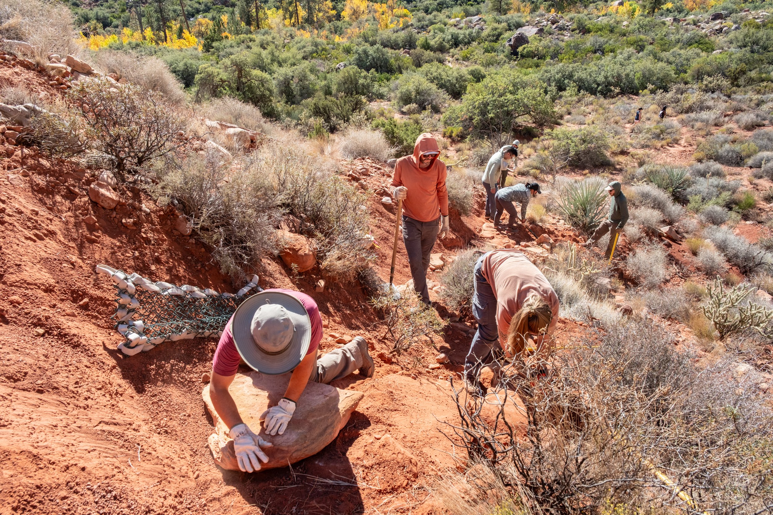 Volunteer Event - Trail Work