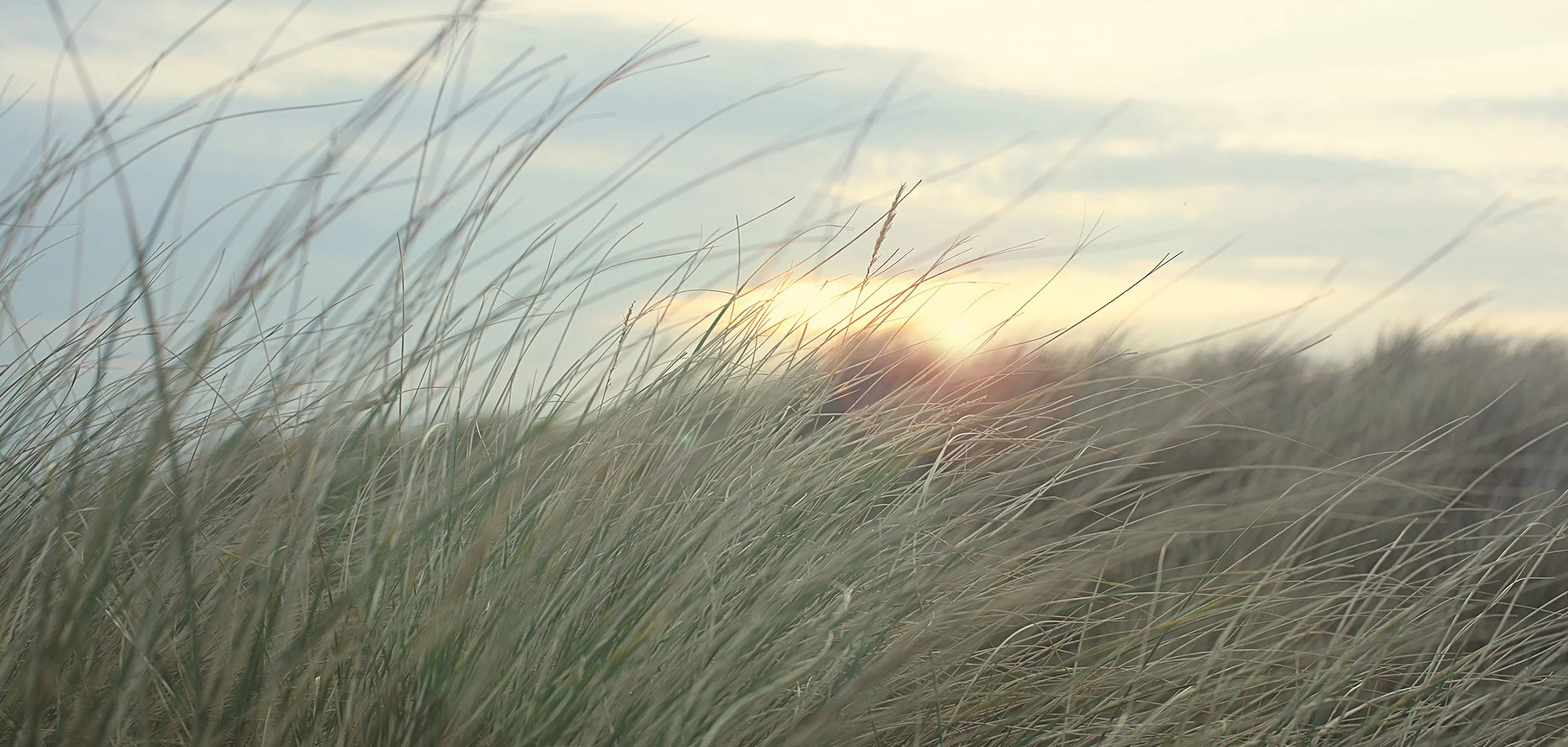 Initial skin consultation (60 mins) & Luxury Facial (90 mins) with Elizabeth-M