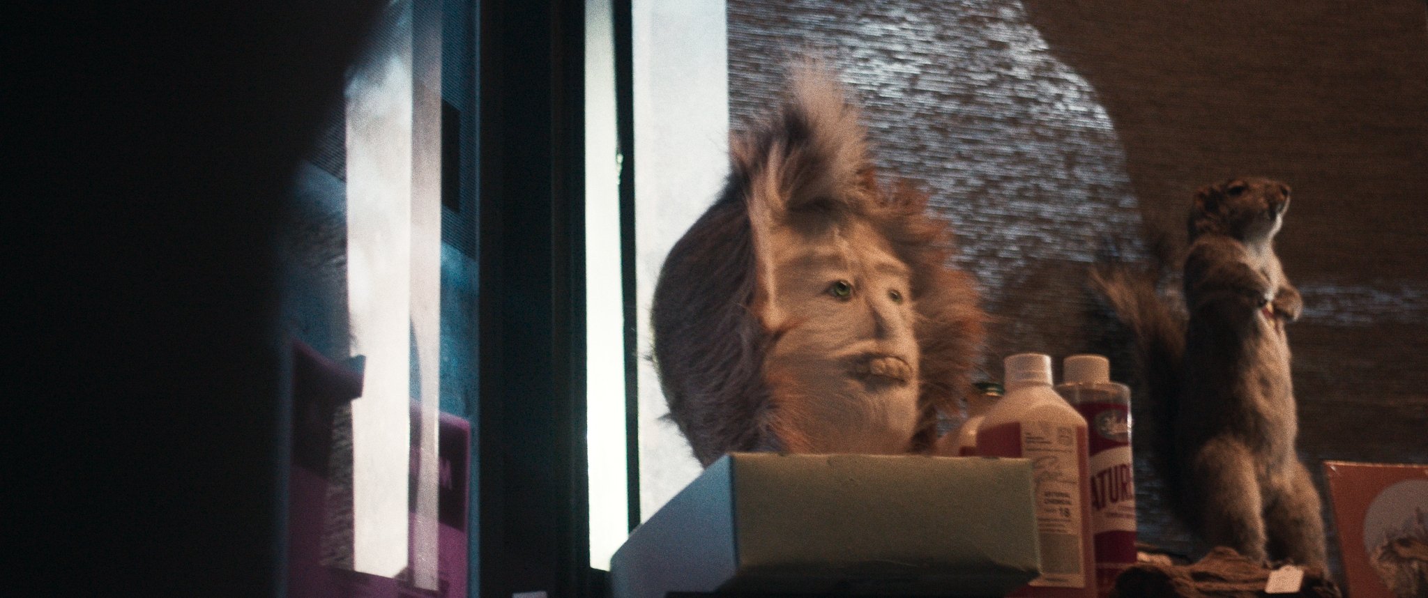Untitled_1.24.1.jpg