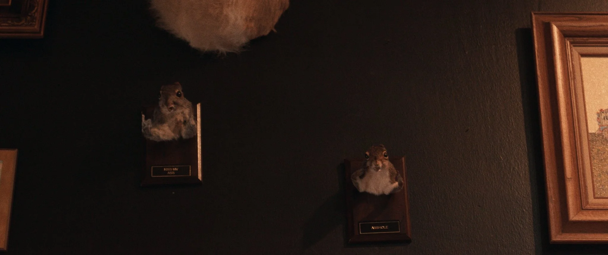 Untitled_1.51.1.jpg