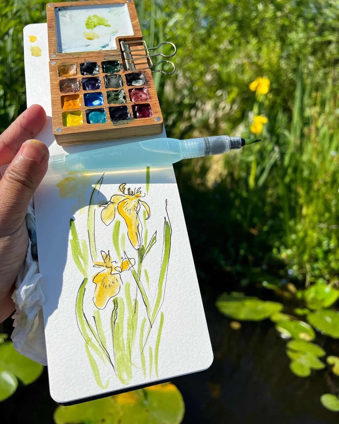a loose floral painting of yellow flag iris in front of a soft green background, small watercolor palette and water brush top of the frame