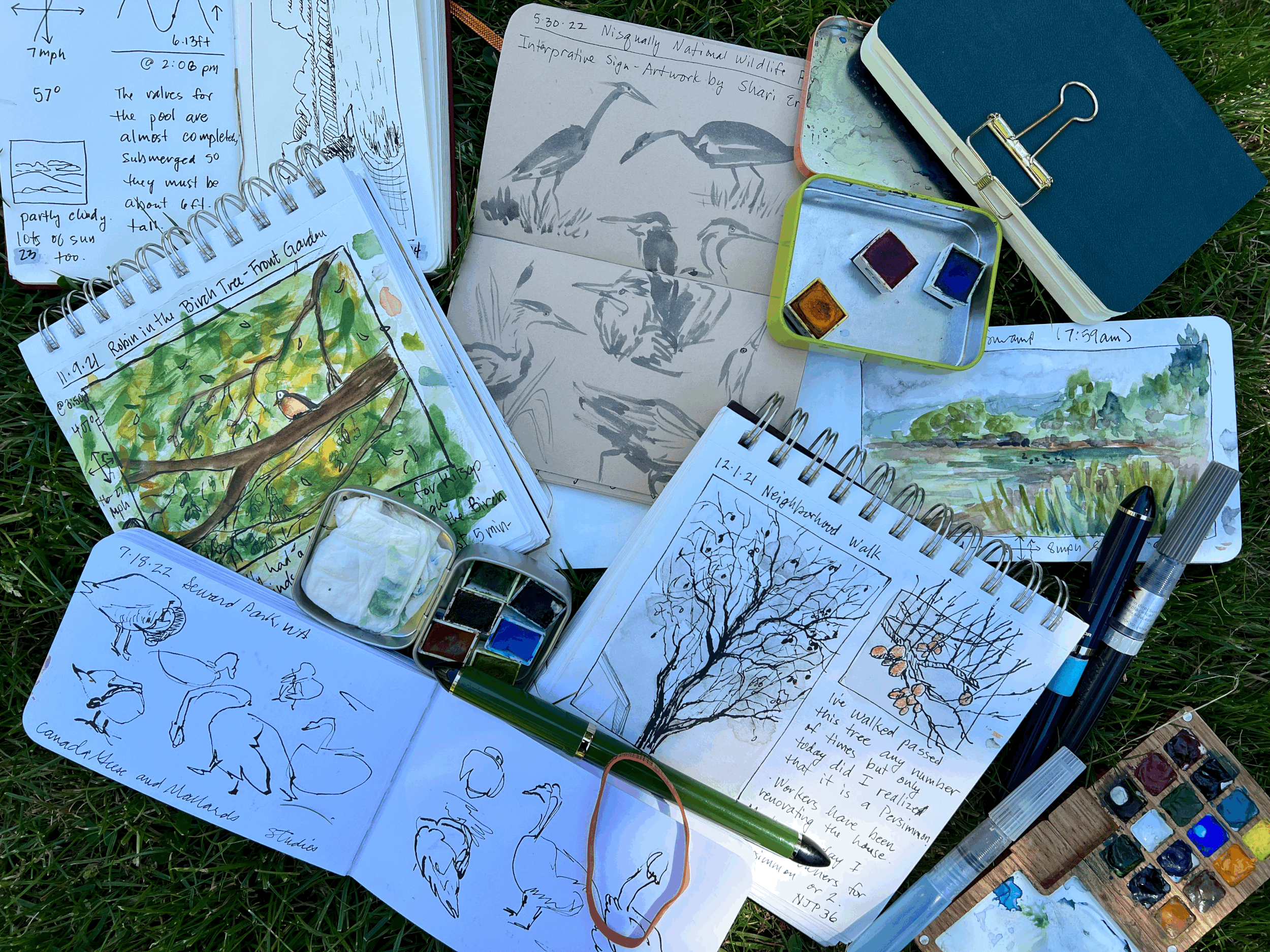 a collection of small watercolor and line drawings featuring landscapes, birds and trees on small sketchbooks.