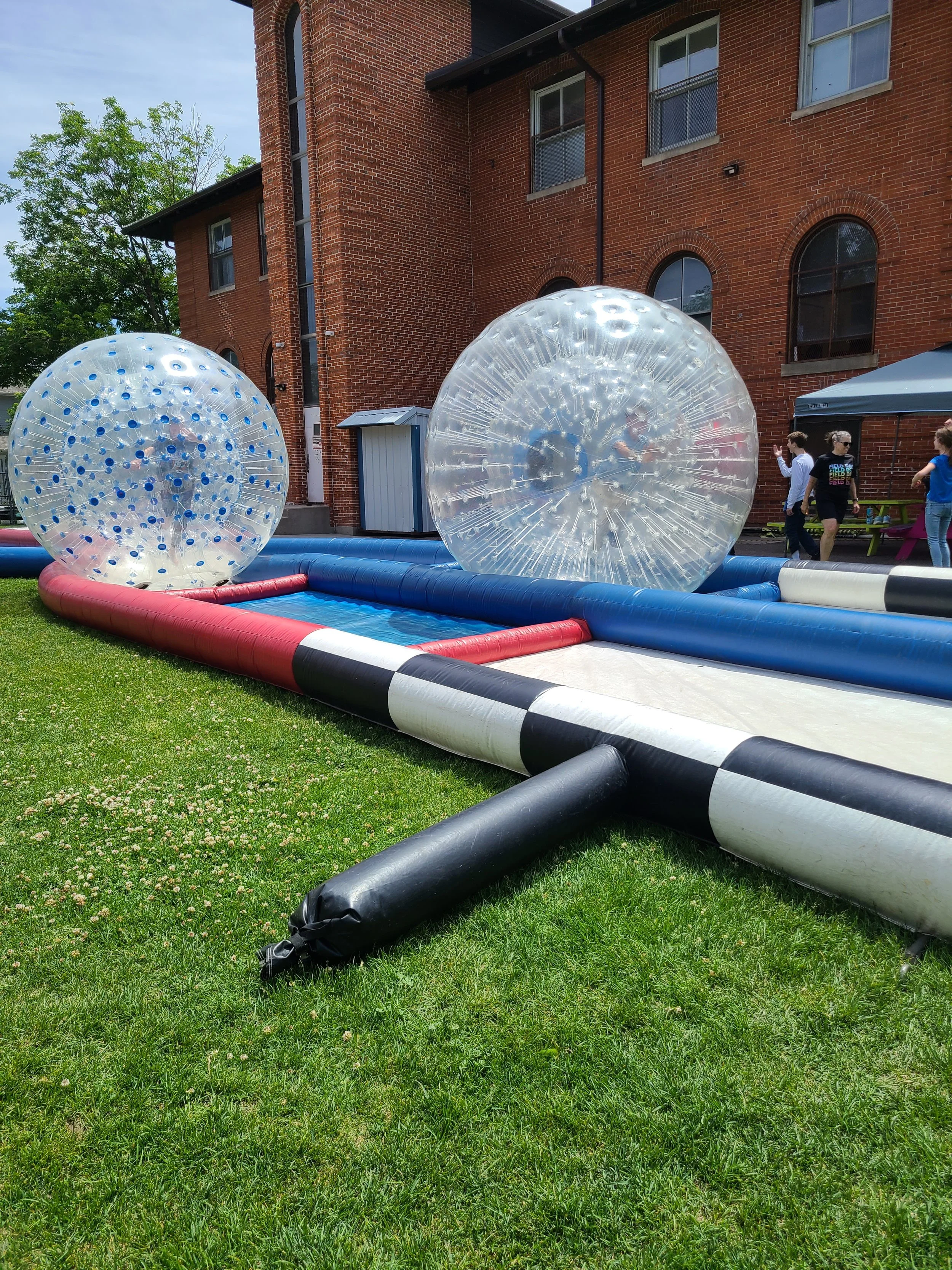 20260522_124236.jpg