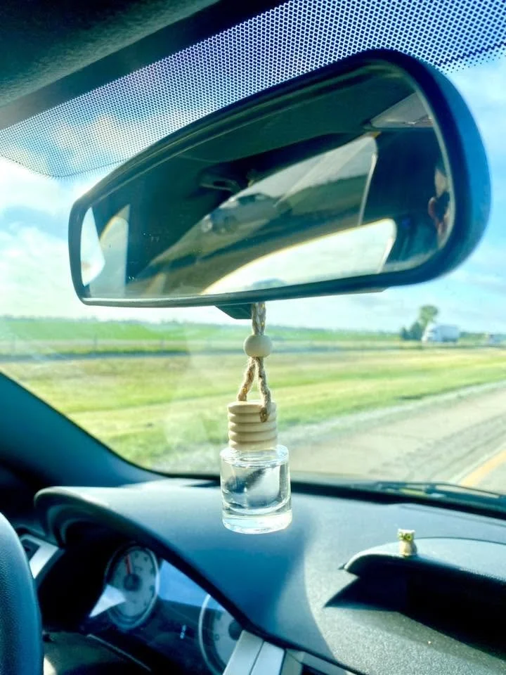 car diffusers.jpg