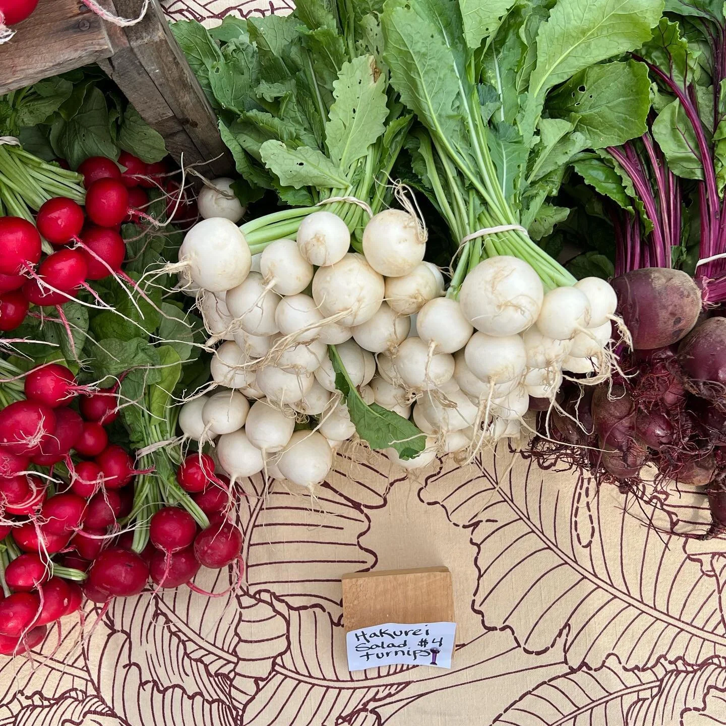 WILLIAMSTOWN FARMERS MARKET