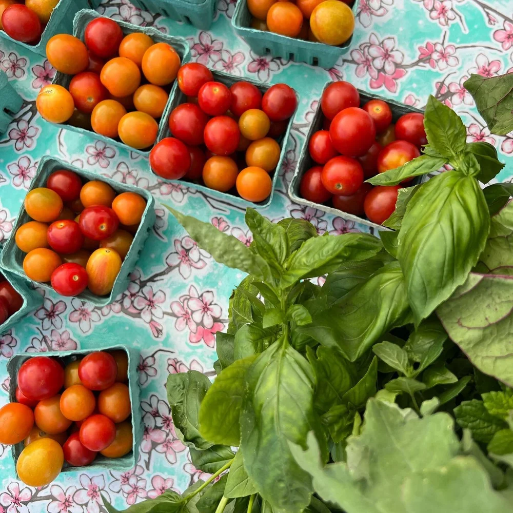 WILLIAMSTOWN FARMERS MARKET